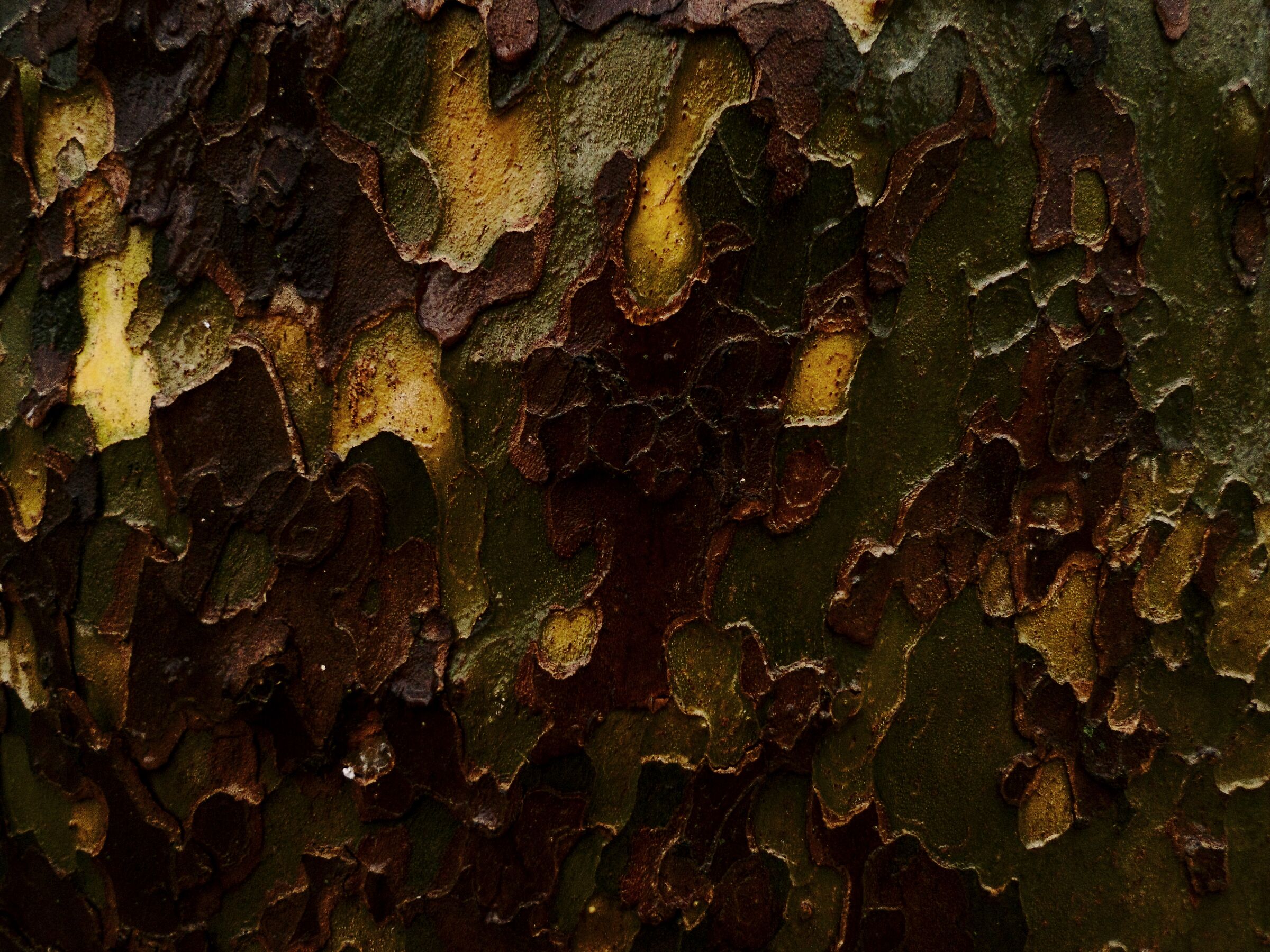 Palette 2