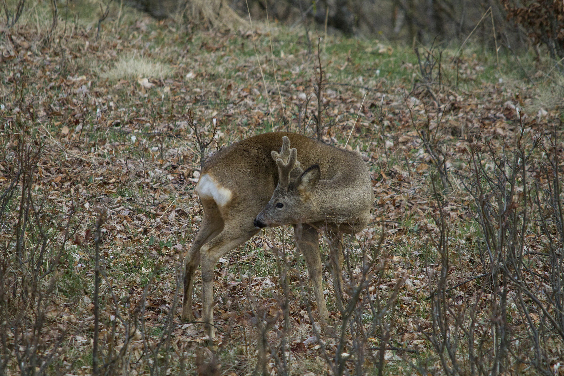 Dopo una dormita via che si riparte