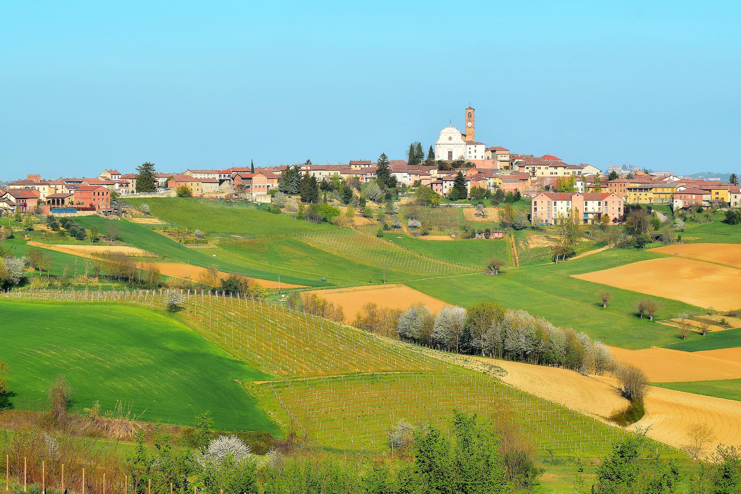 Tra le Langhe