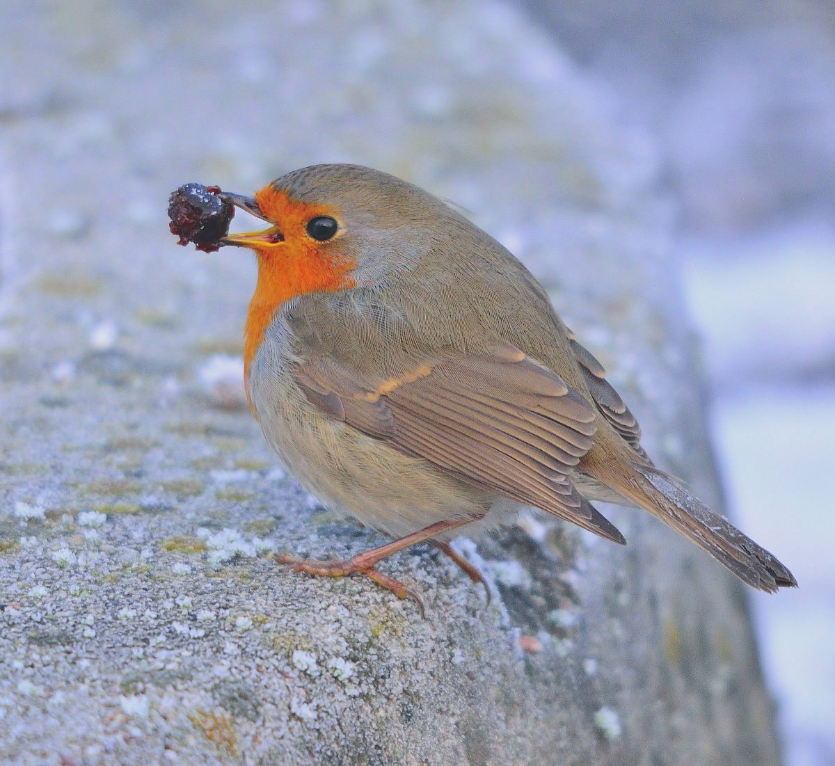 Thanks for the trick!