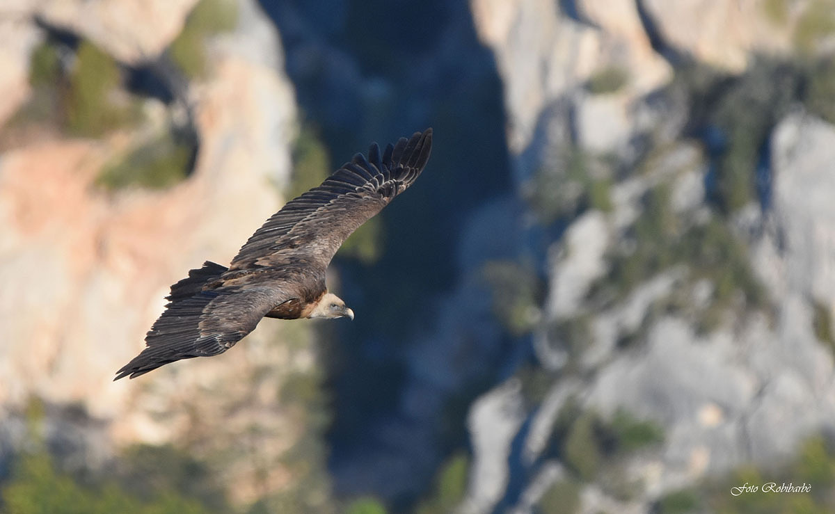 Shadows on the Verdon....