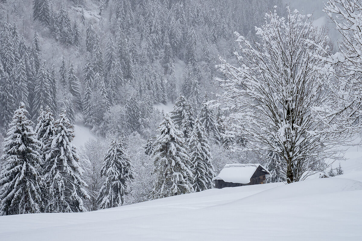 Snowing