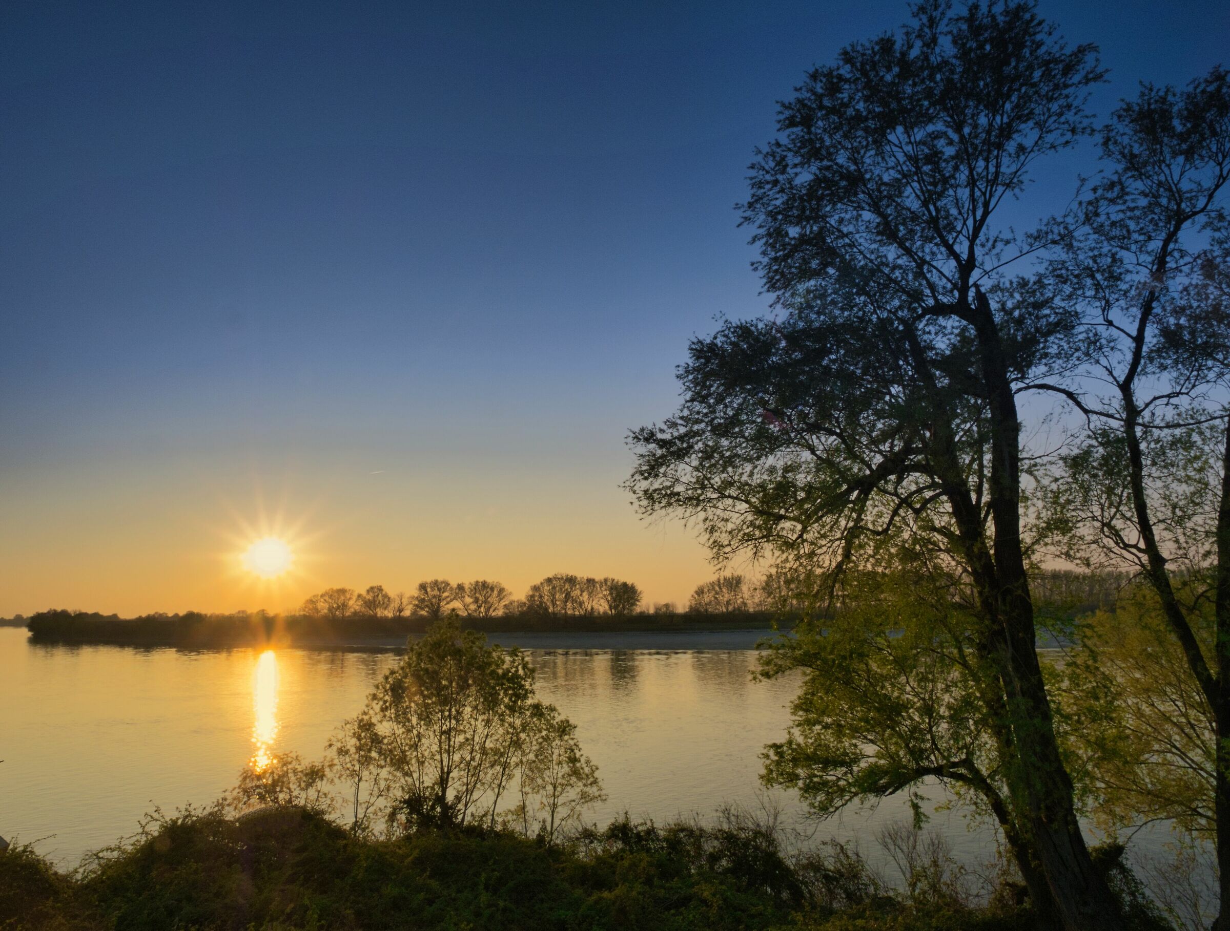 The Little to Ro Ferrarese