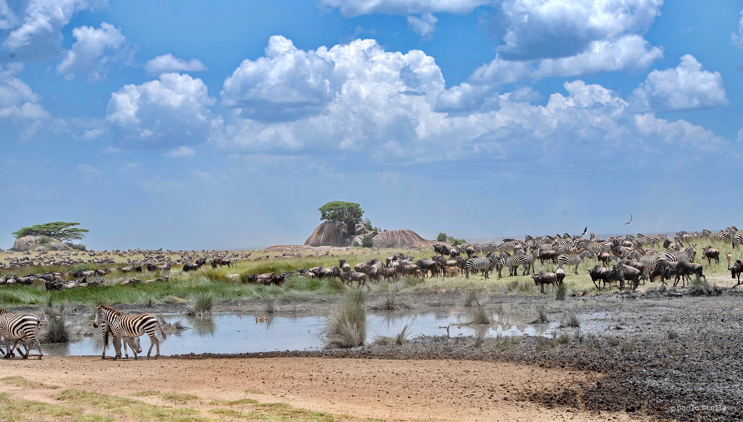 l'ora dell'abbondanza