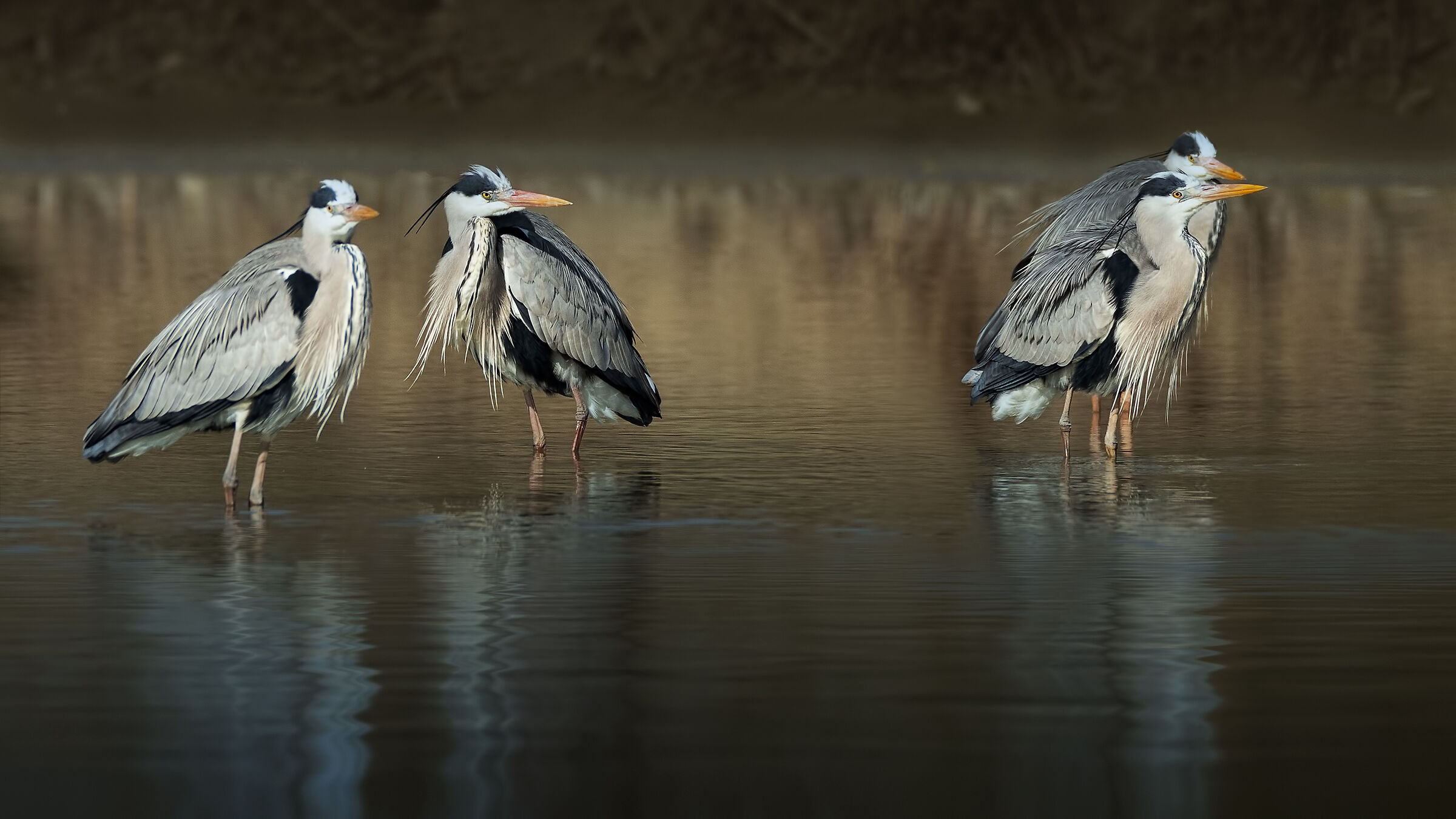 Ma chi sono quei due?