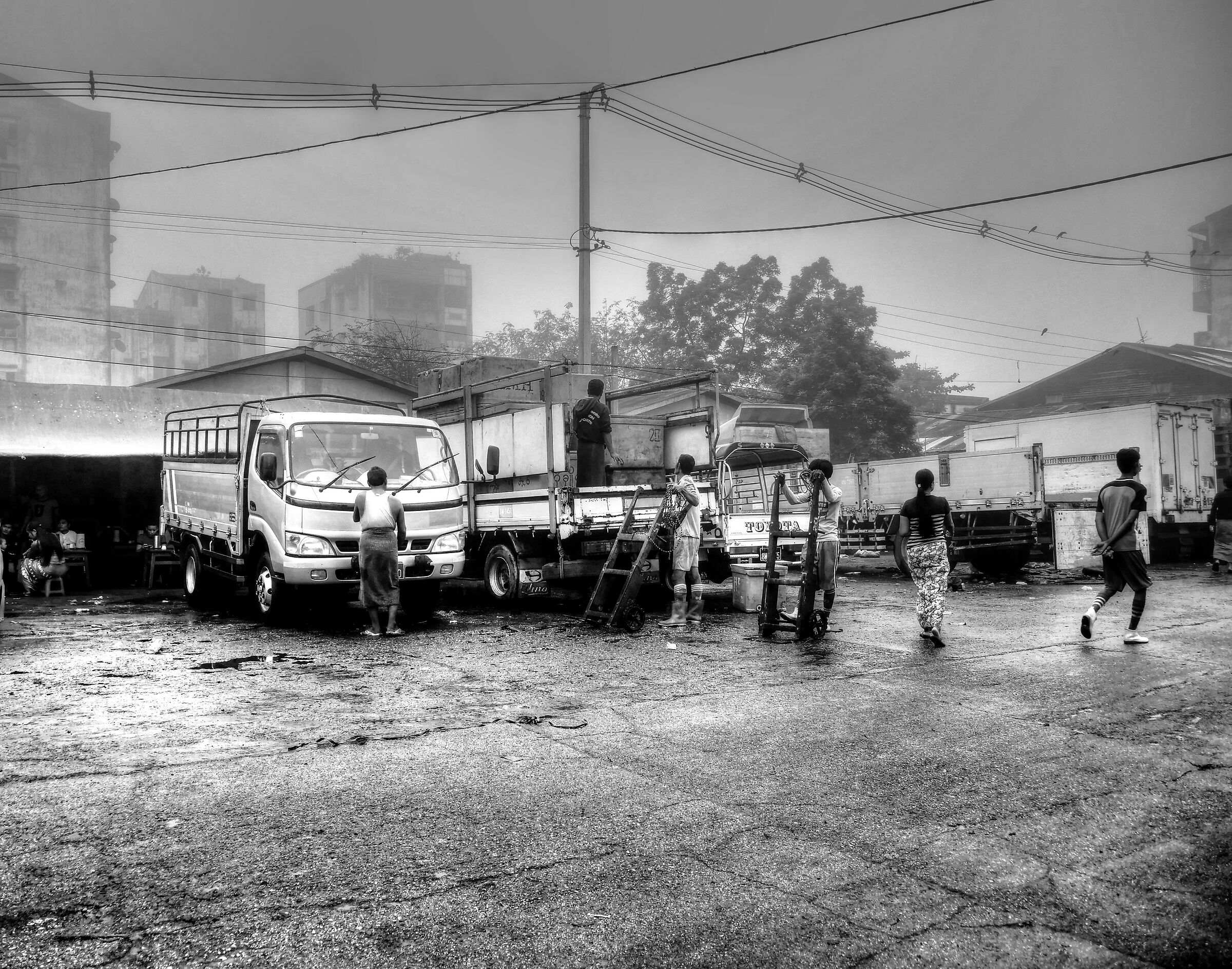 Yangon mercato del pesce