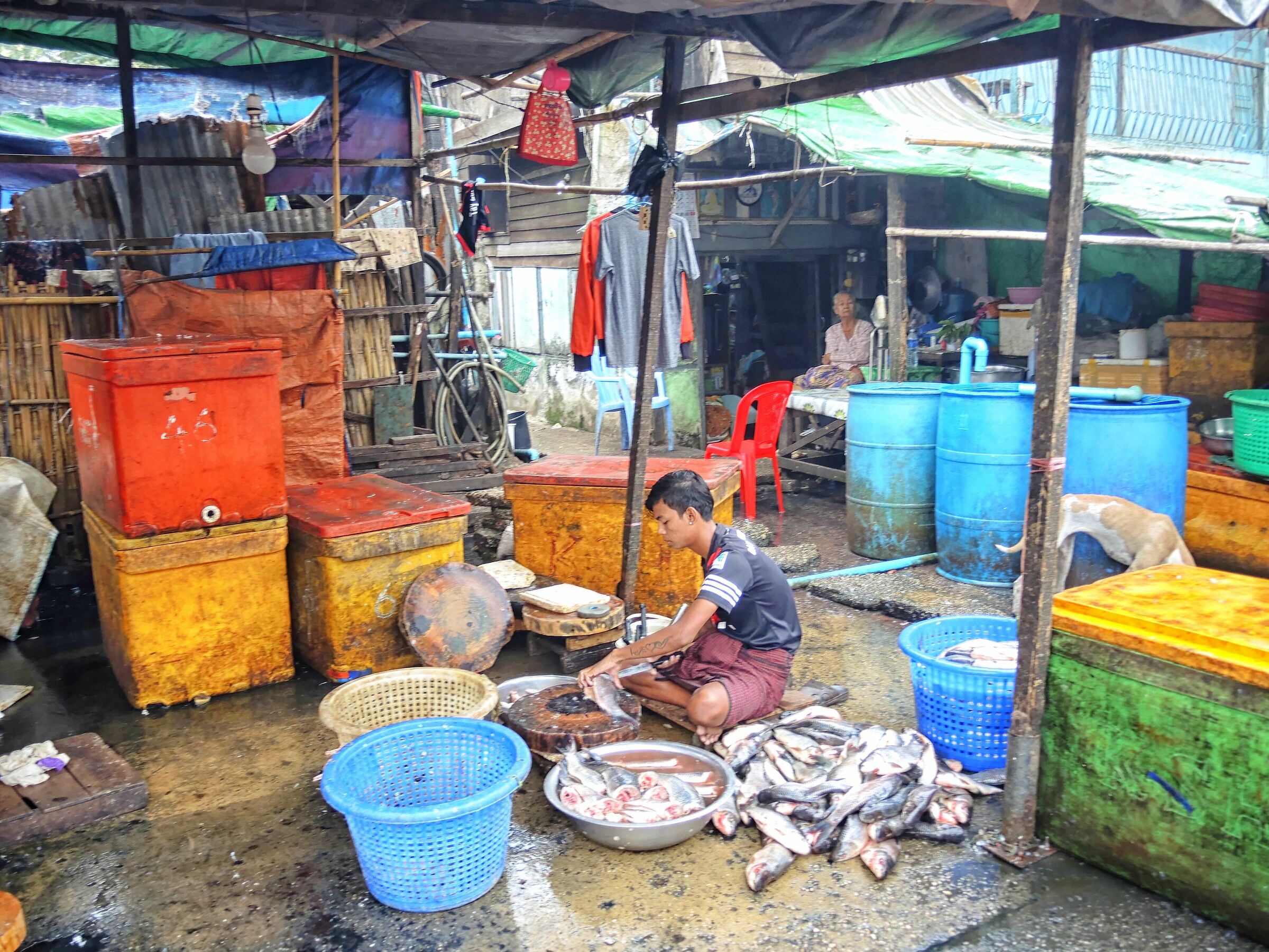 Yangon Fish Market