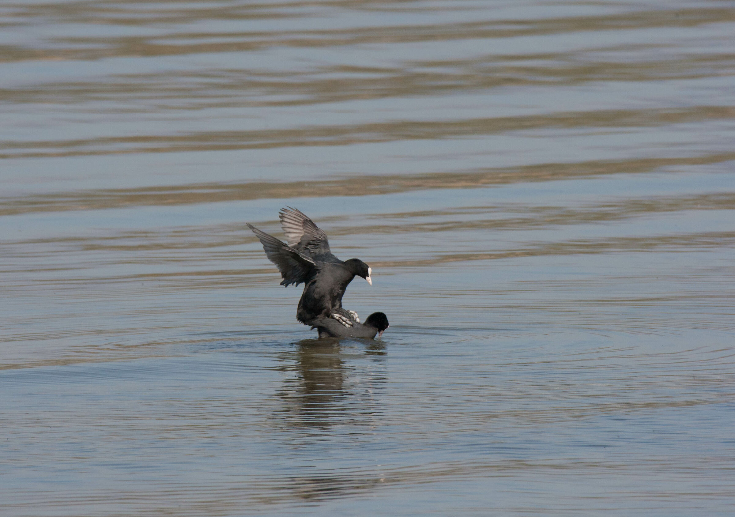 Cogli l'attimo....Beva menoooooo!