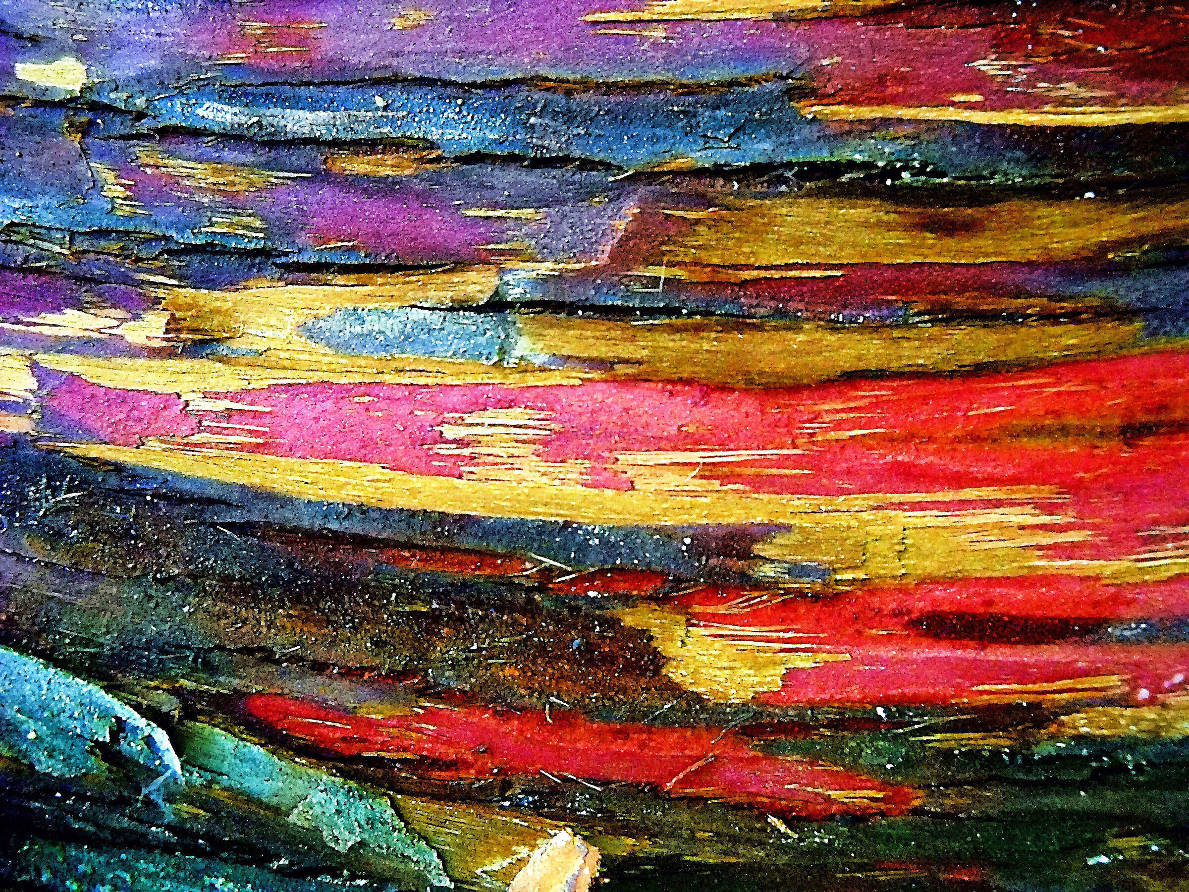 Cromatismi Arborei