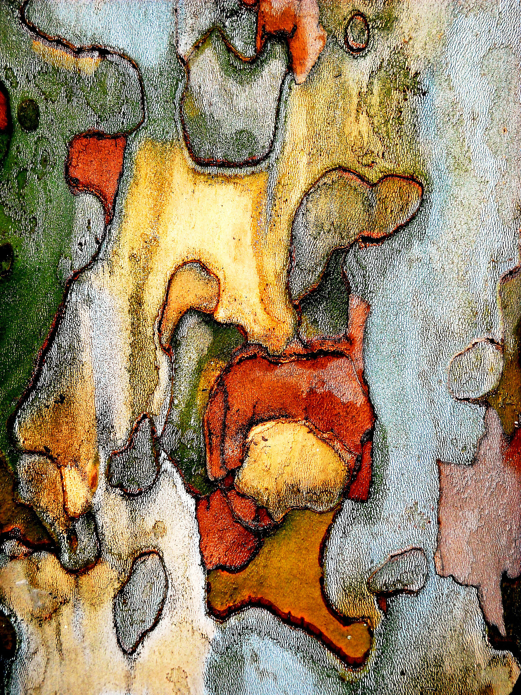 Cromatismi Arborei