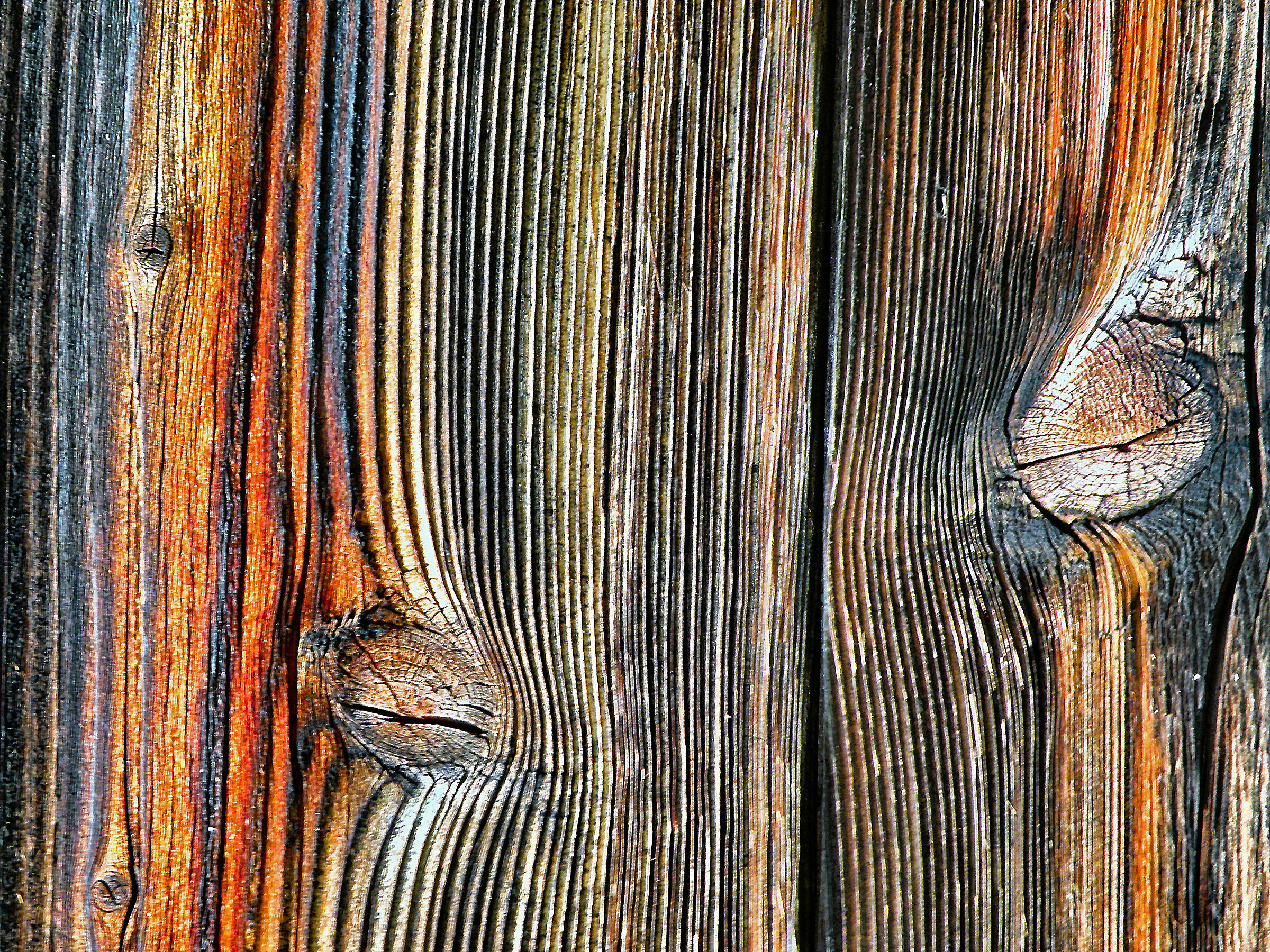 Cromatismi  Arborei