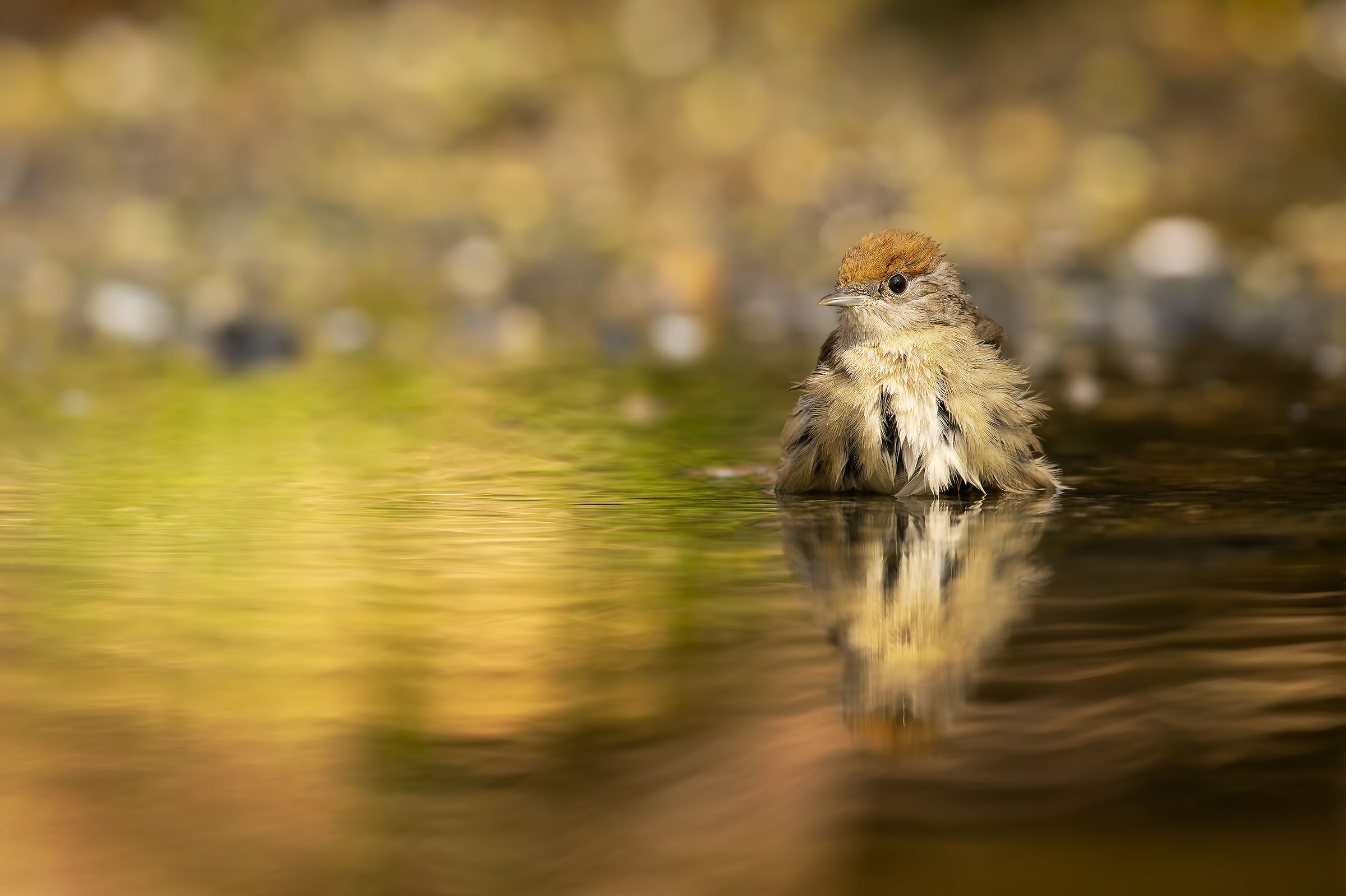 Beauty in the bathroom