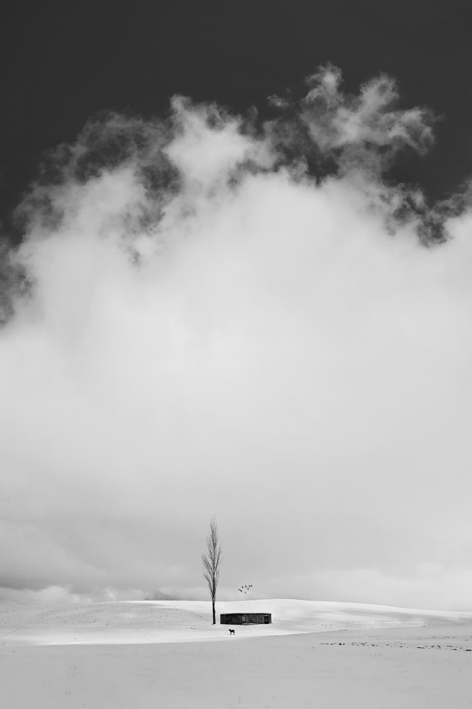 Dream Hut in Cold Paradise!