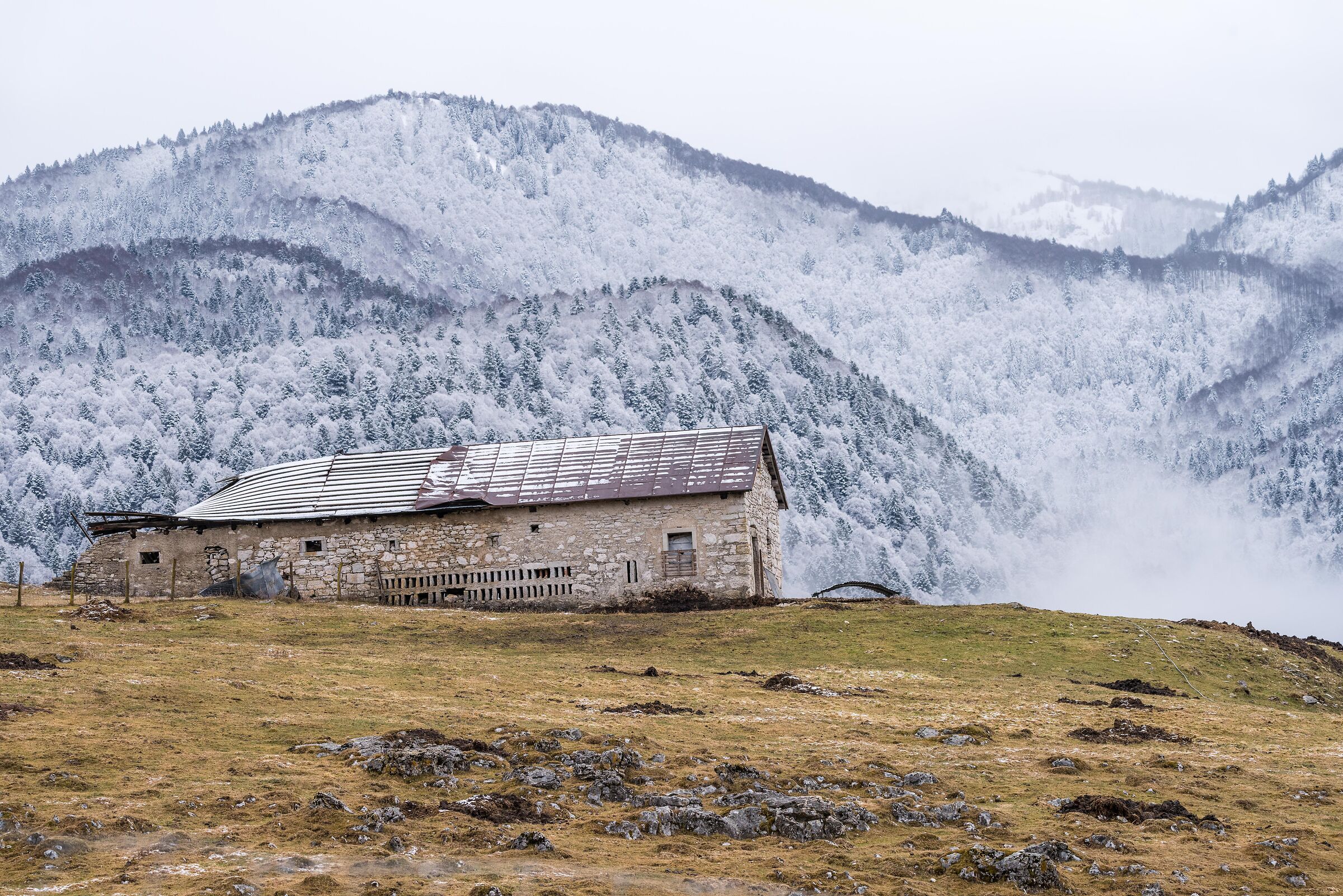 L'arrivo della primavera