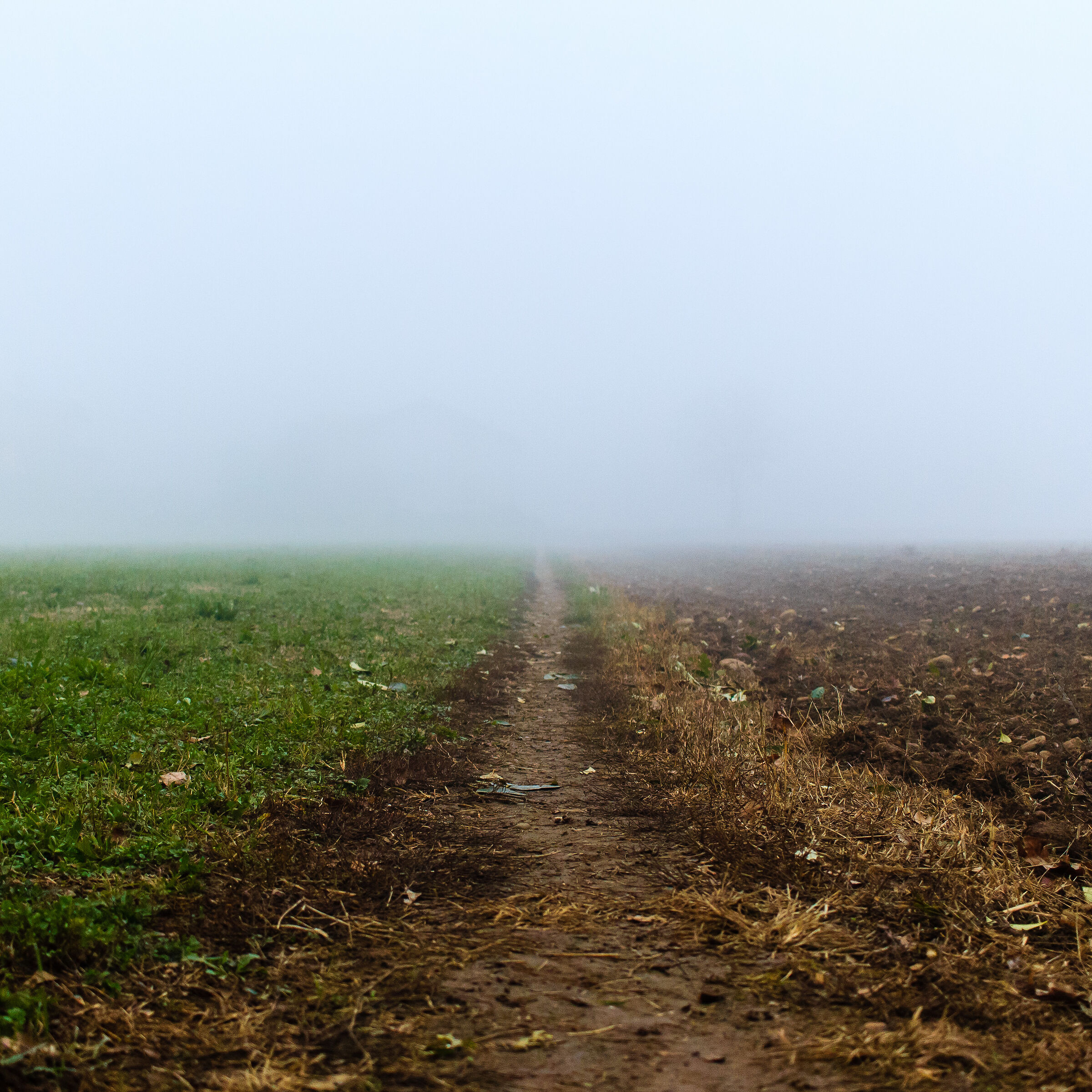 Contrasts in the Fog