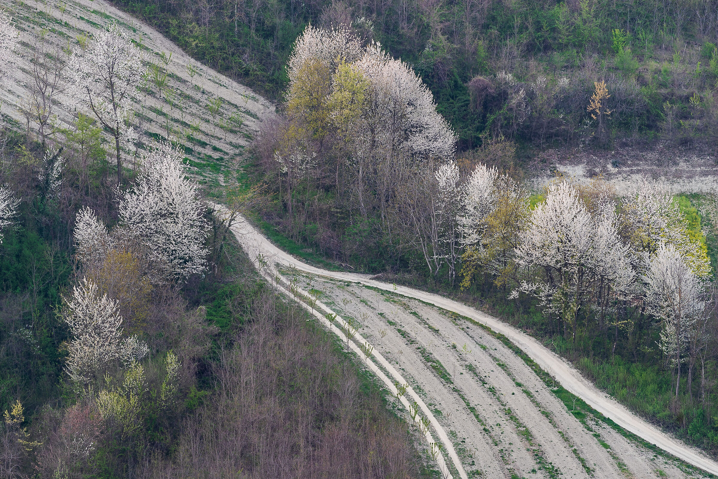 geometrie di paesaggio