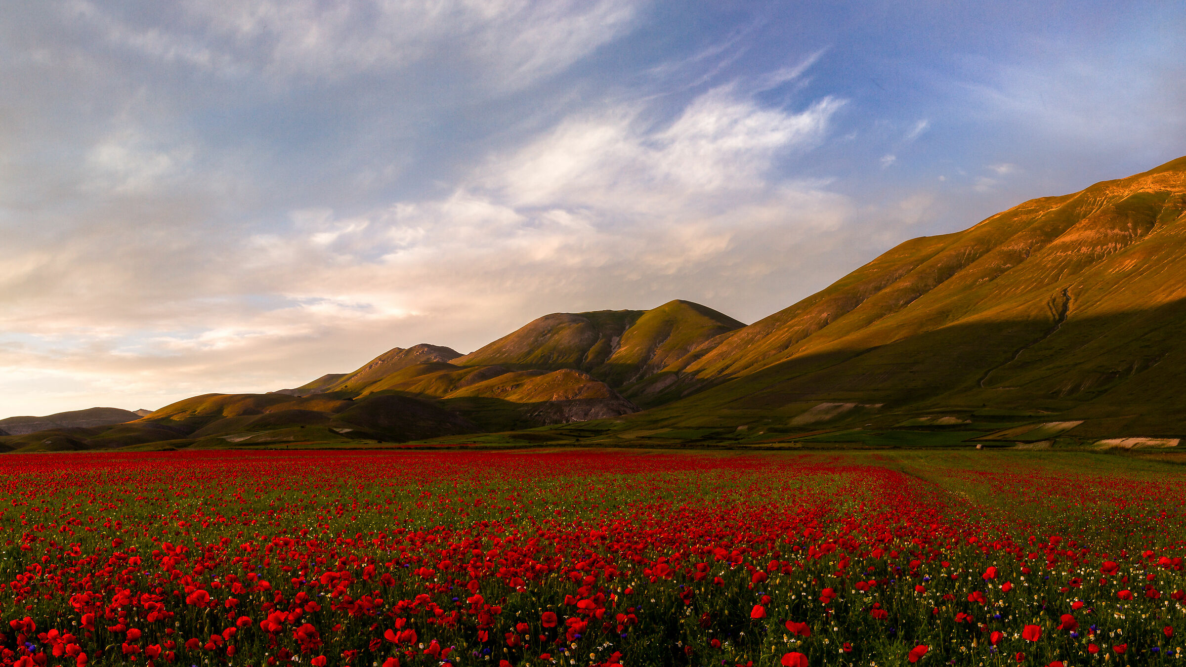 Sunset Castelluccio di Norcia