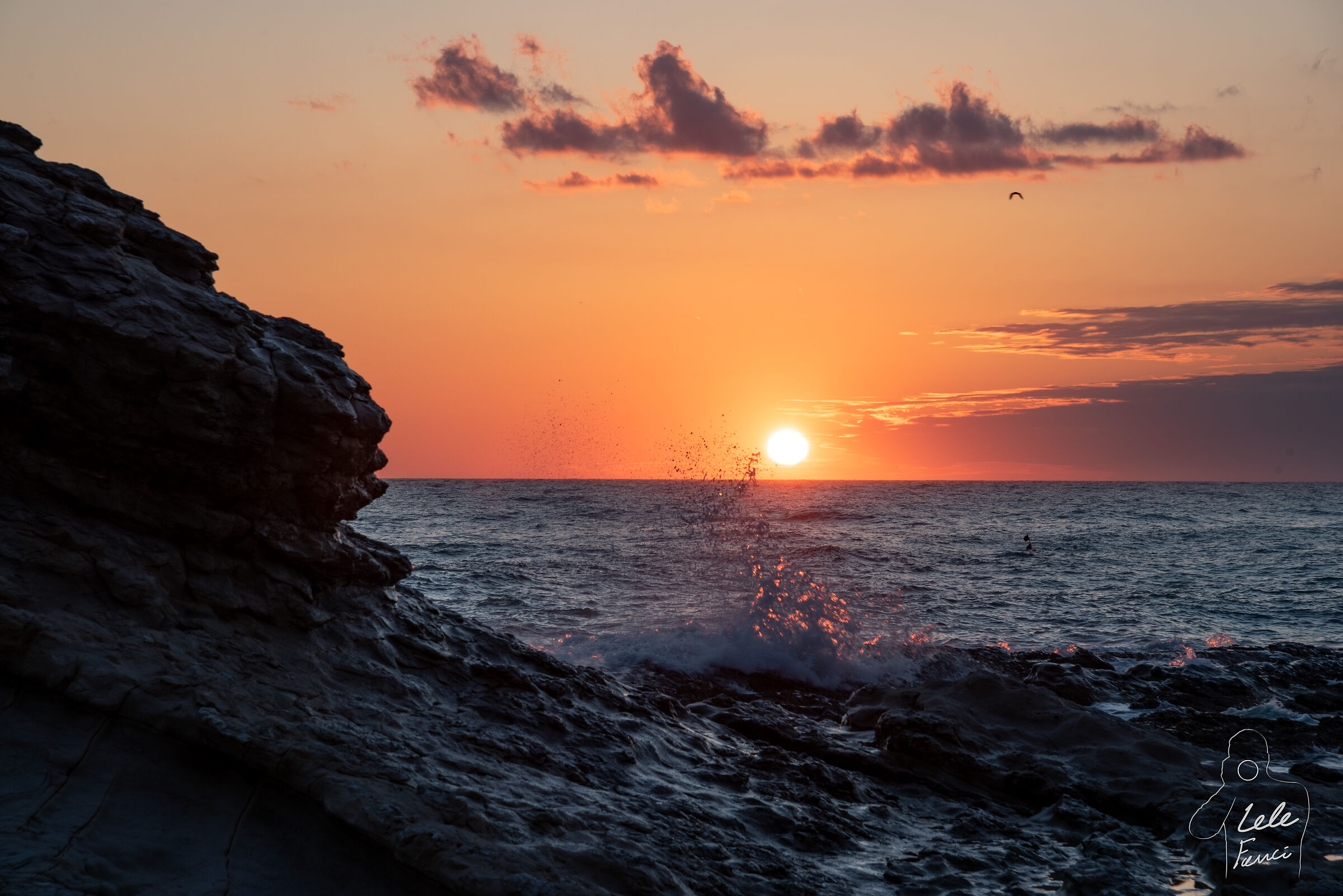 First Moments after awakening, a wave, a seagull.