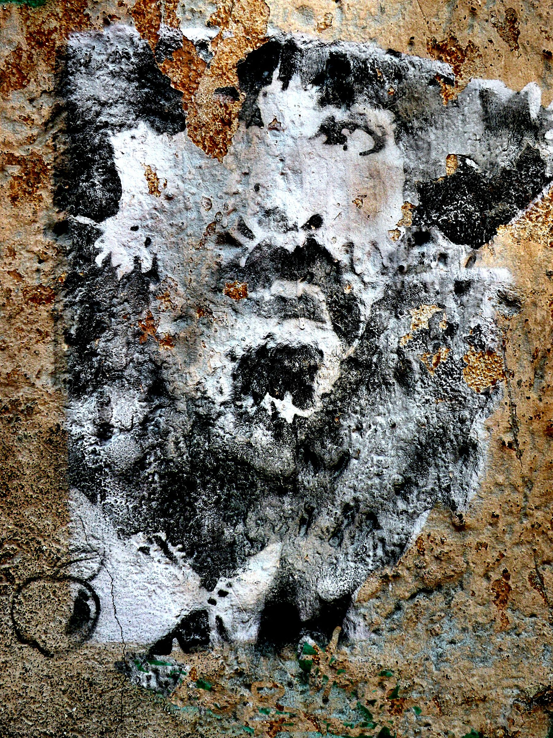 Graffiti