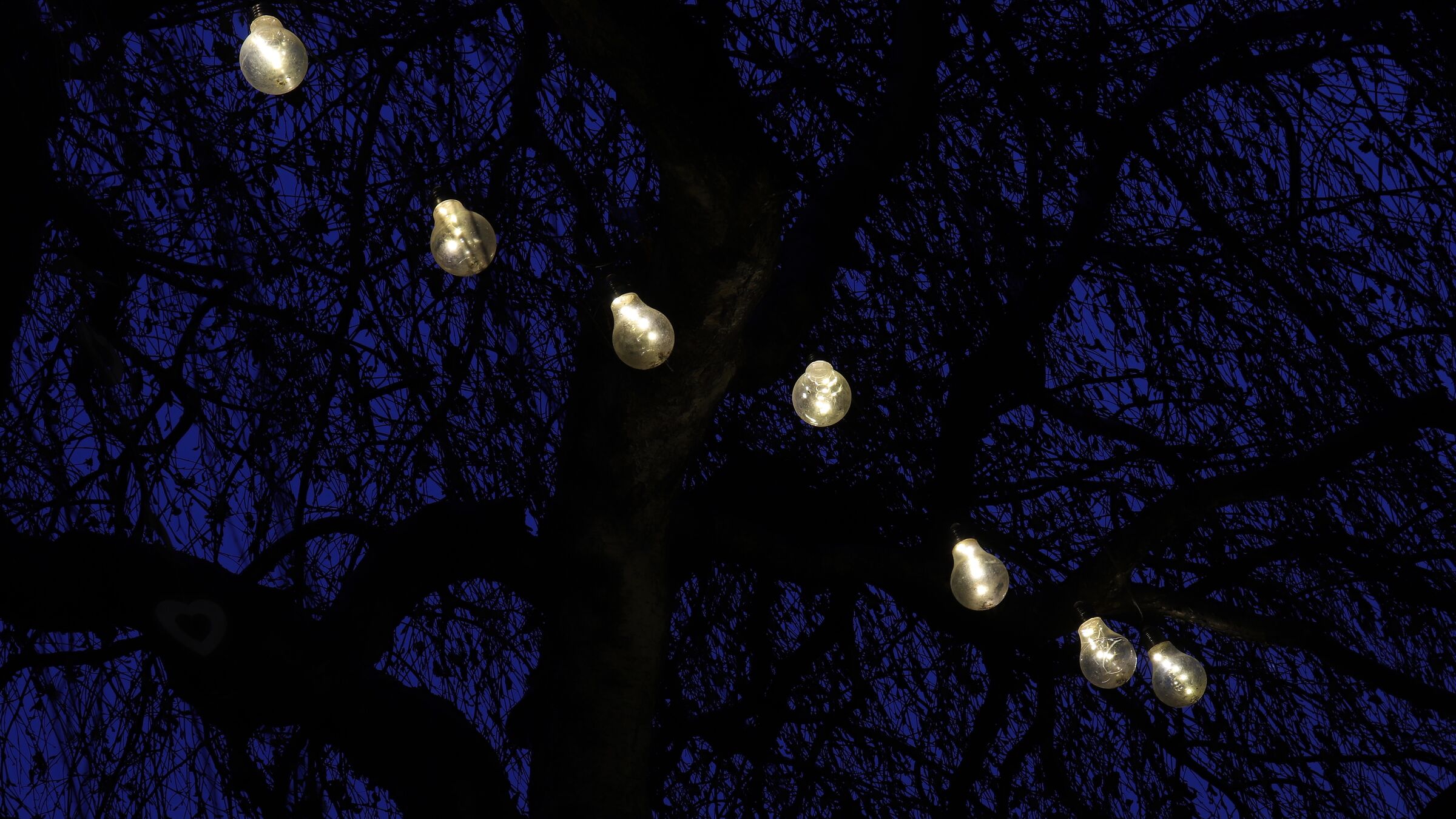 L'energia degli alberi?!