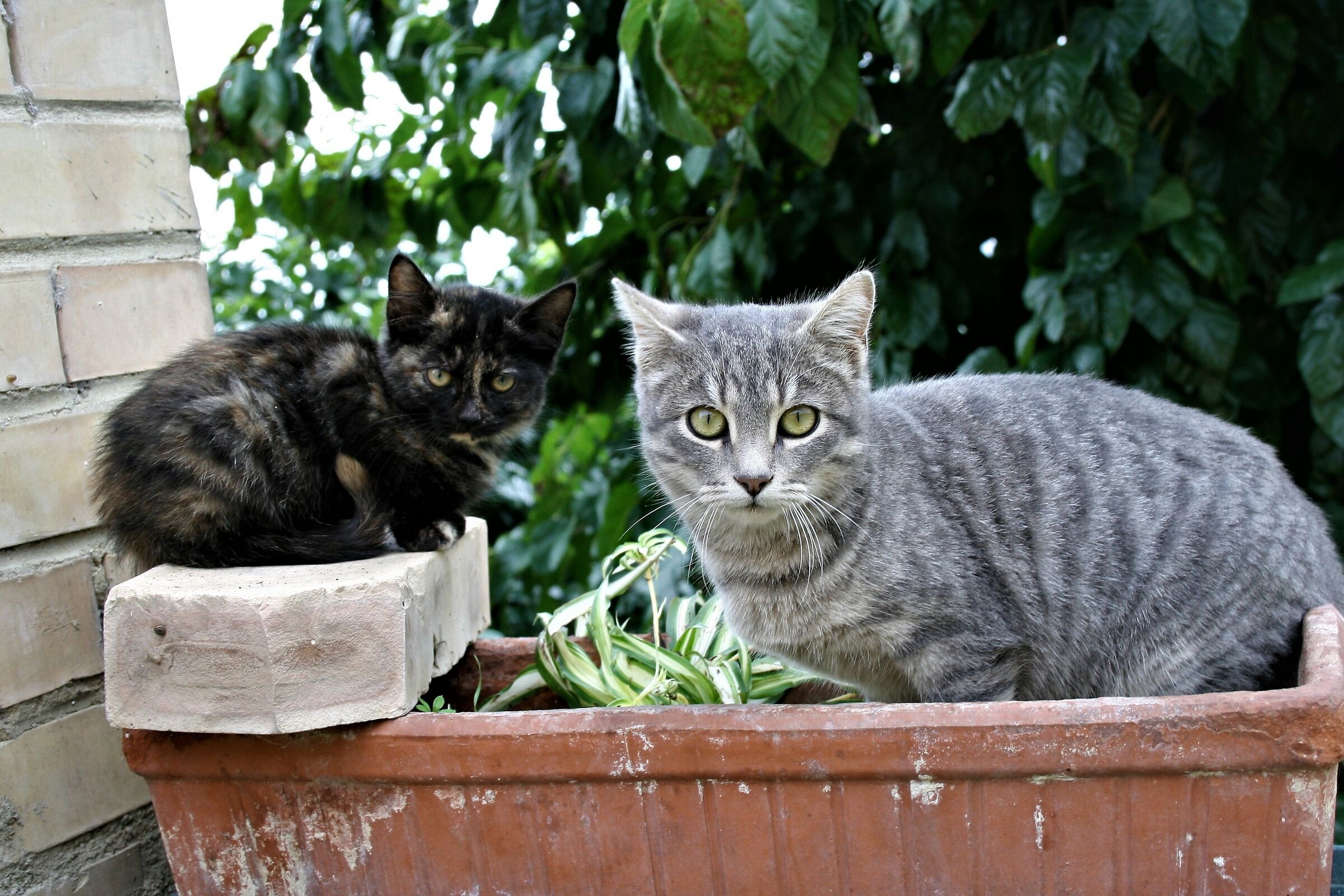 Ad ognuno il suo posto