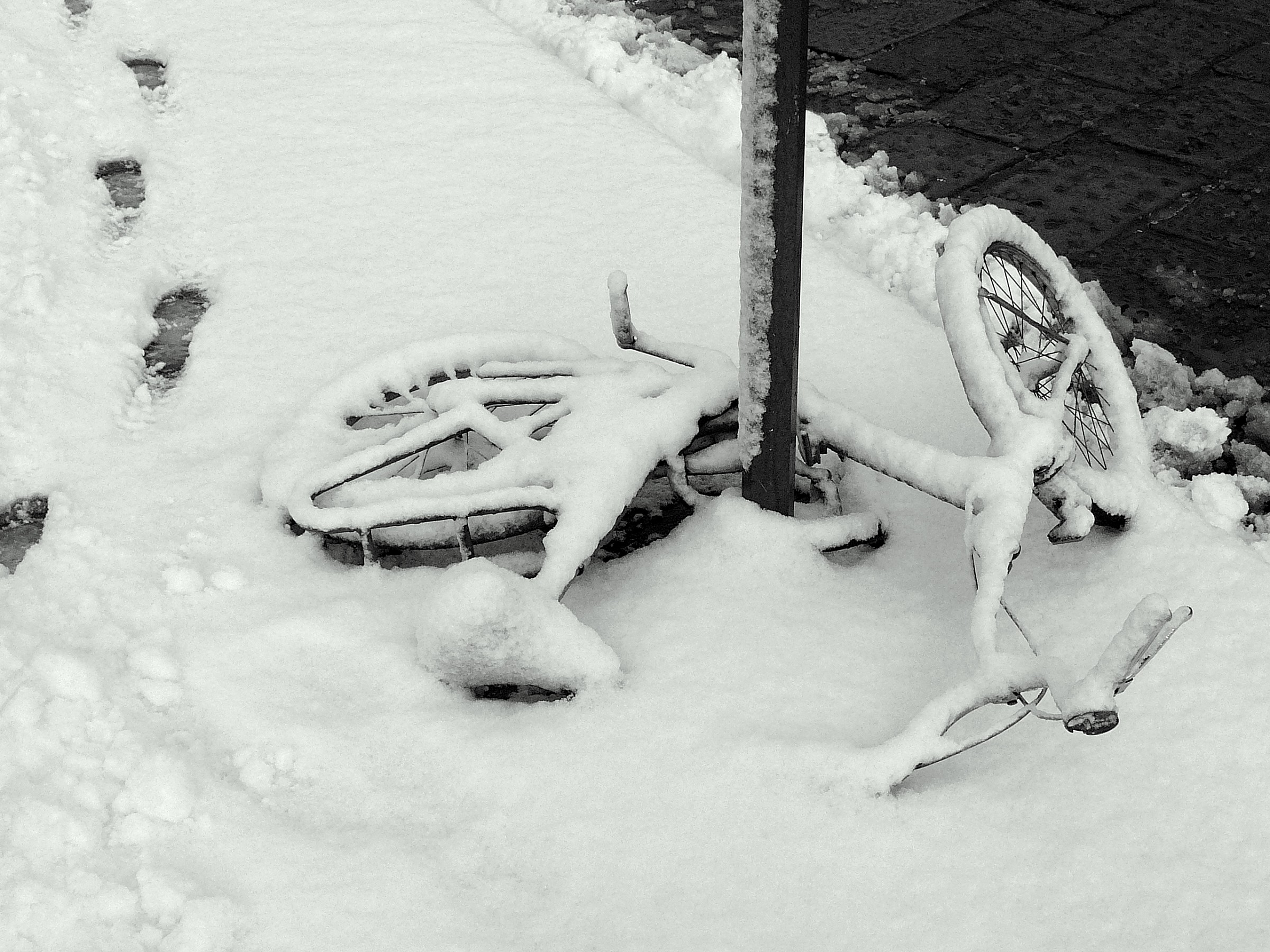 now better walk .......