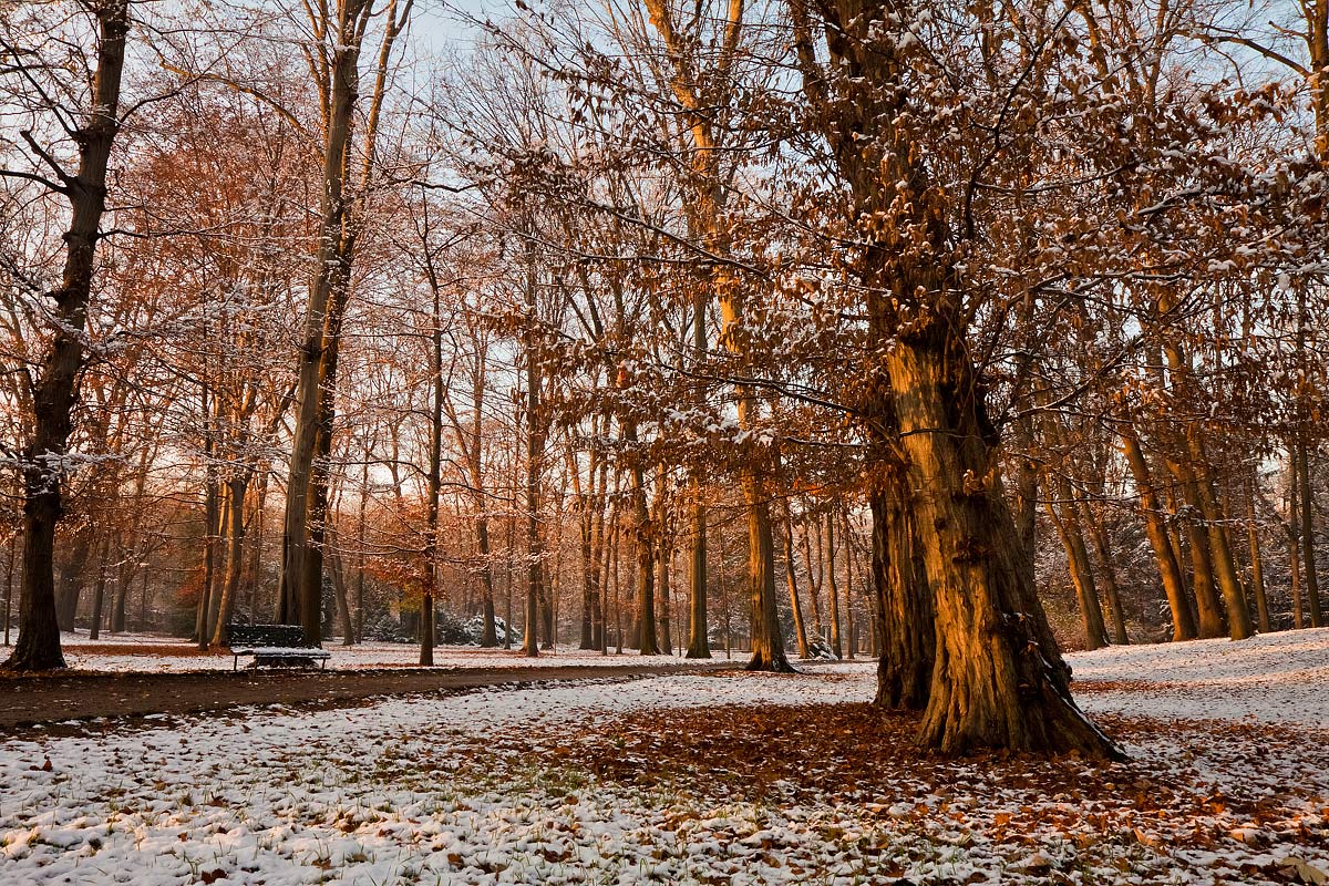 Il silenzio dell'inverno