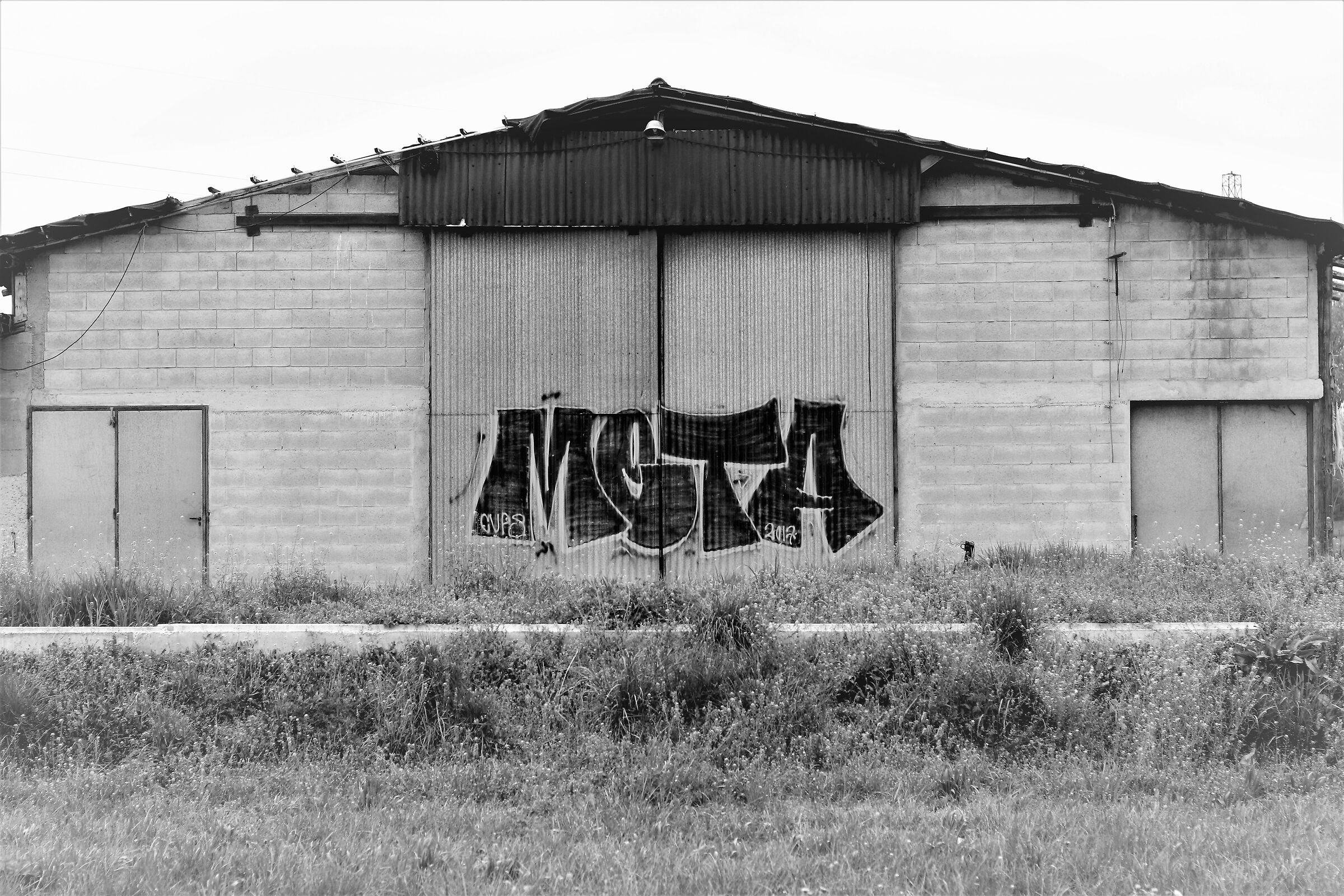 C'è ...solo il Tag... e il Writing ?