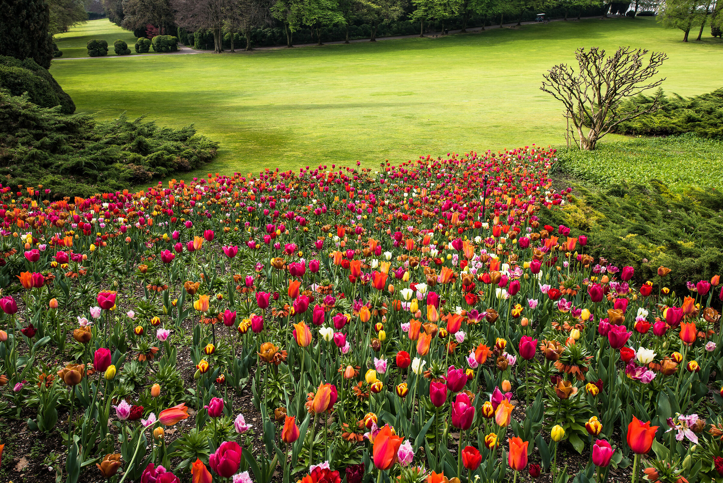 Parco giardino Sigurtà