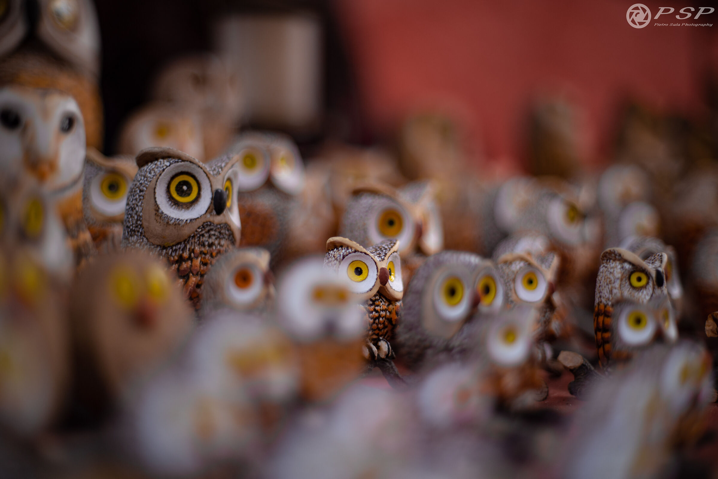 Small Owls Blur