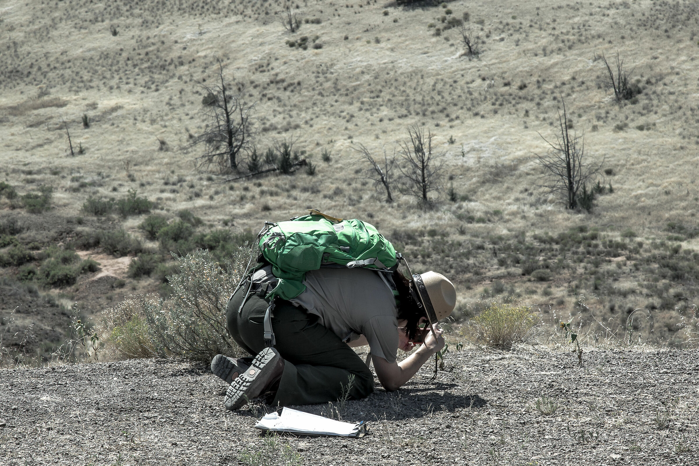 Minimalist Ranger-Oregon