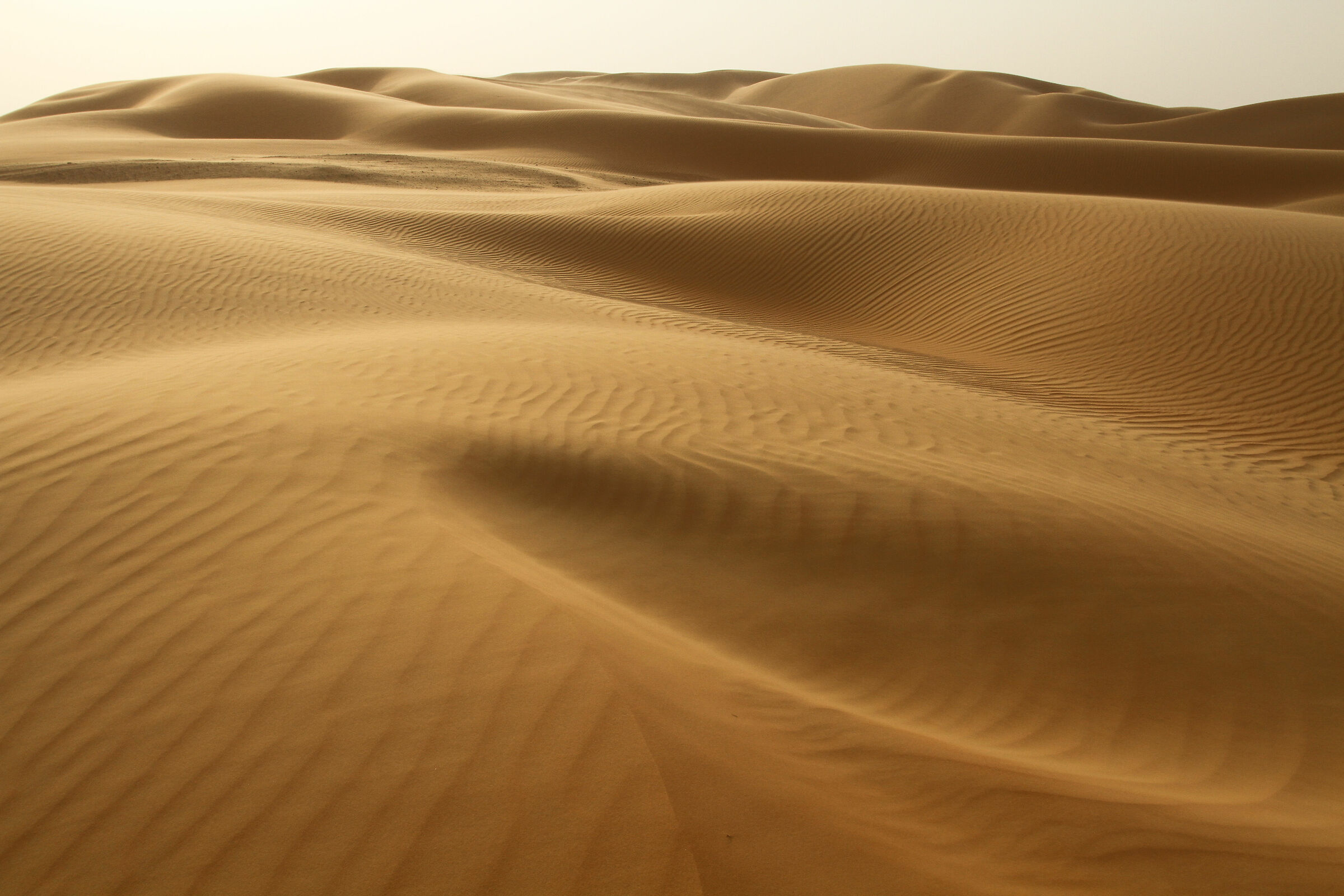 The empty quarter