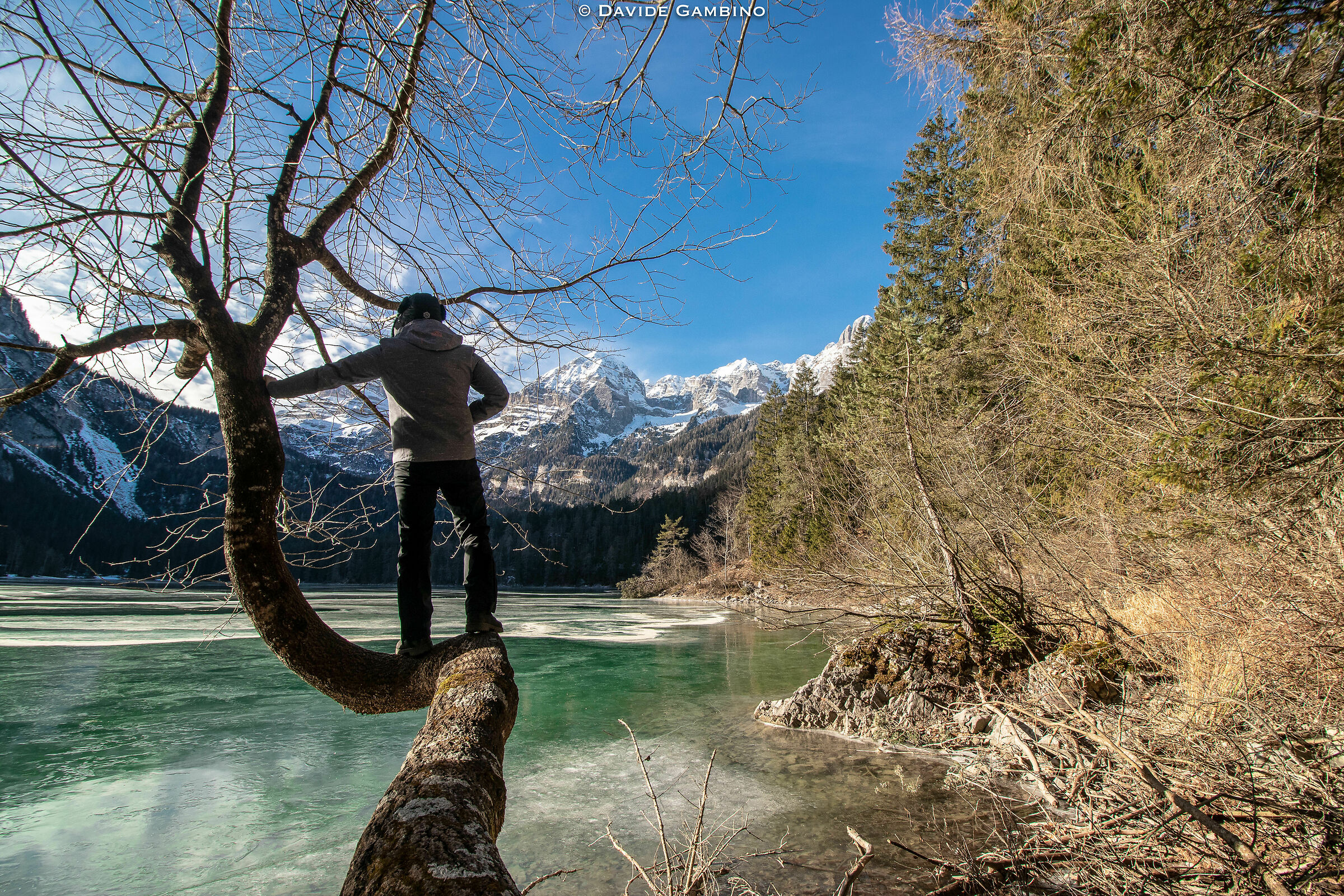 The boy of the lake of Tovel