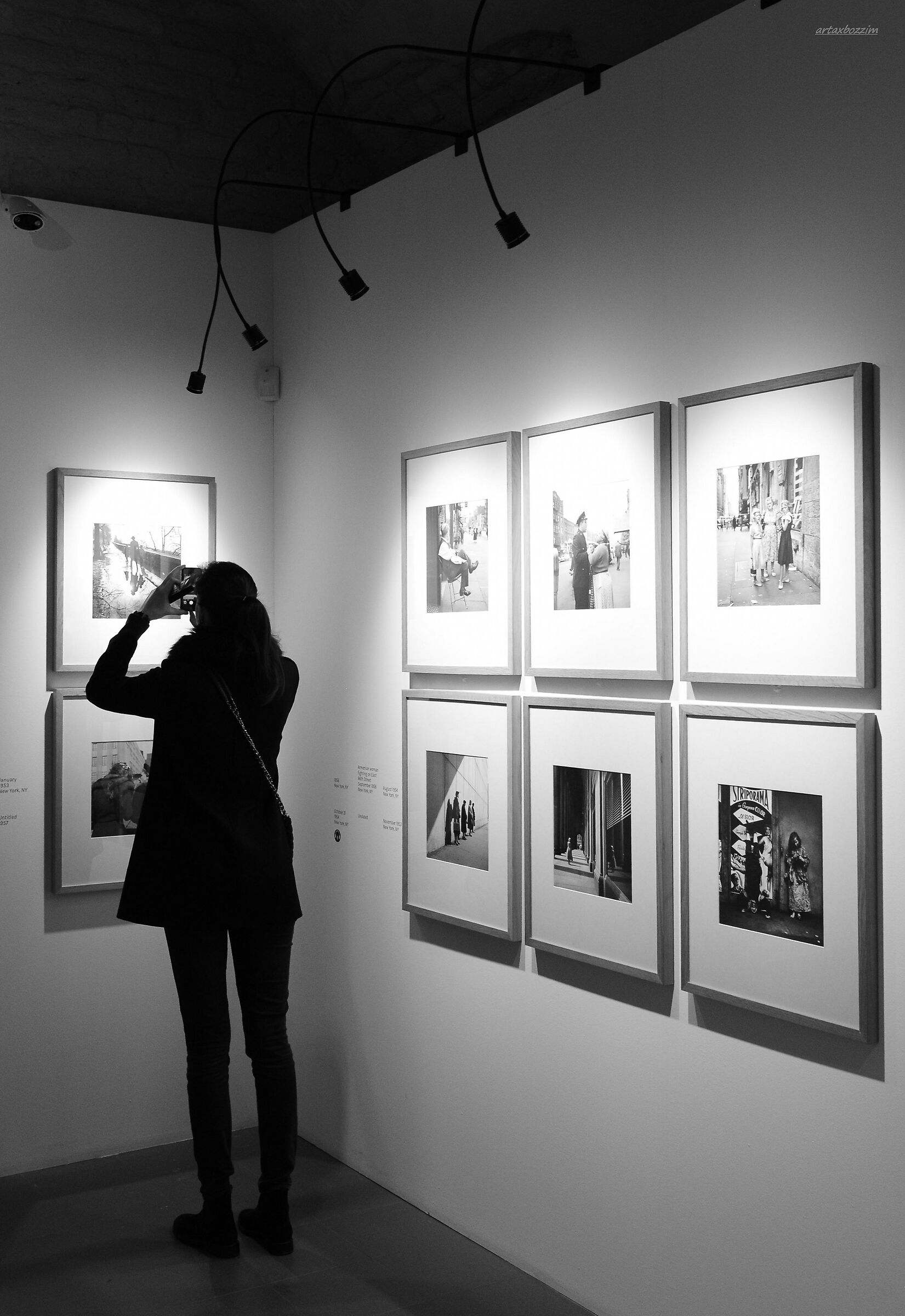 The photograph tells........