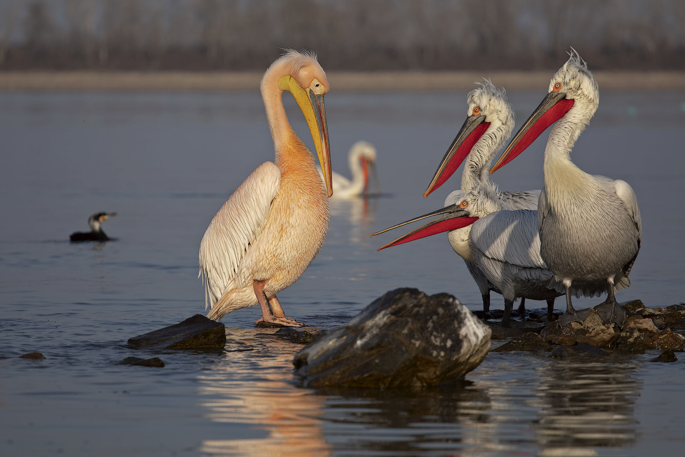 You who are different