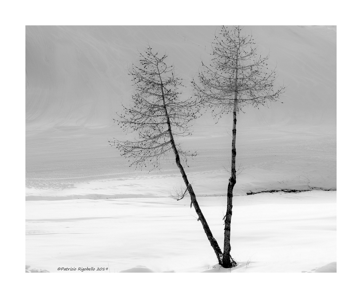 The Morning is a dream of snow