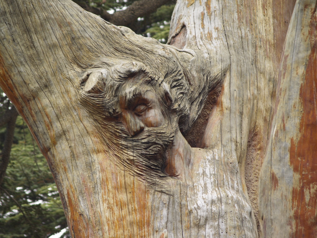 foresta dei cedri  ( libano) scultura del cristo morto