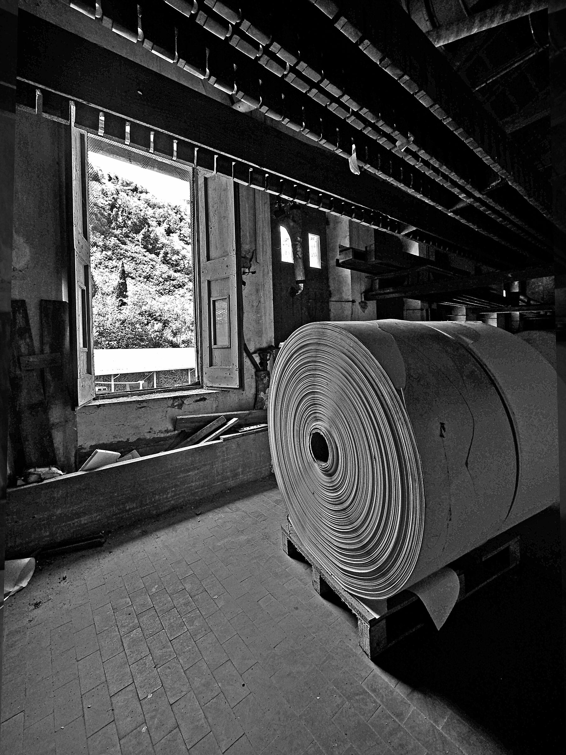 Morte di una cartiera