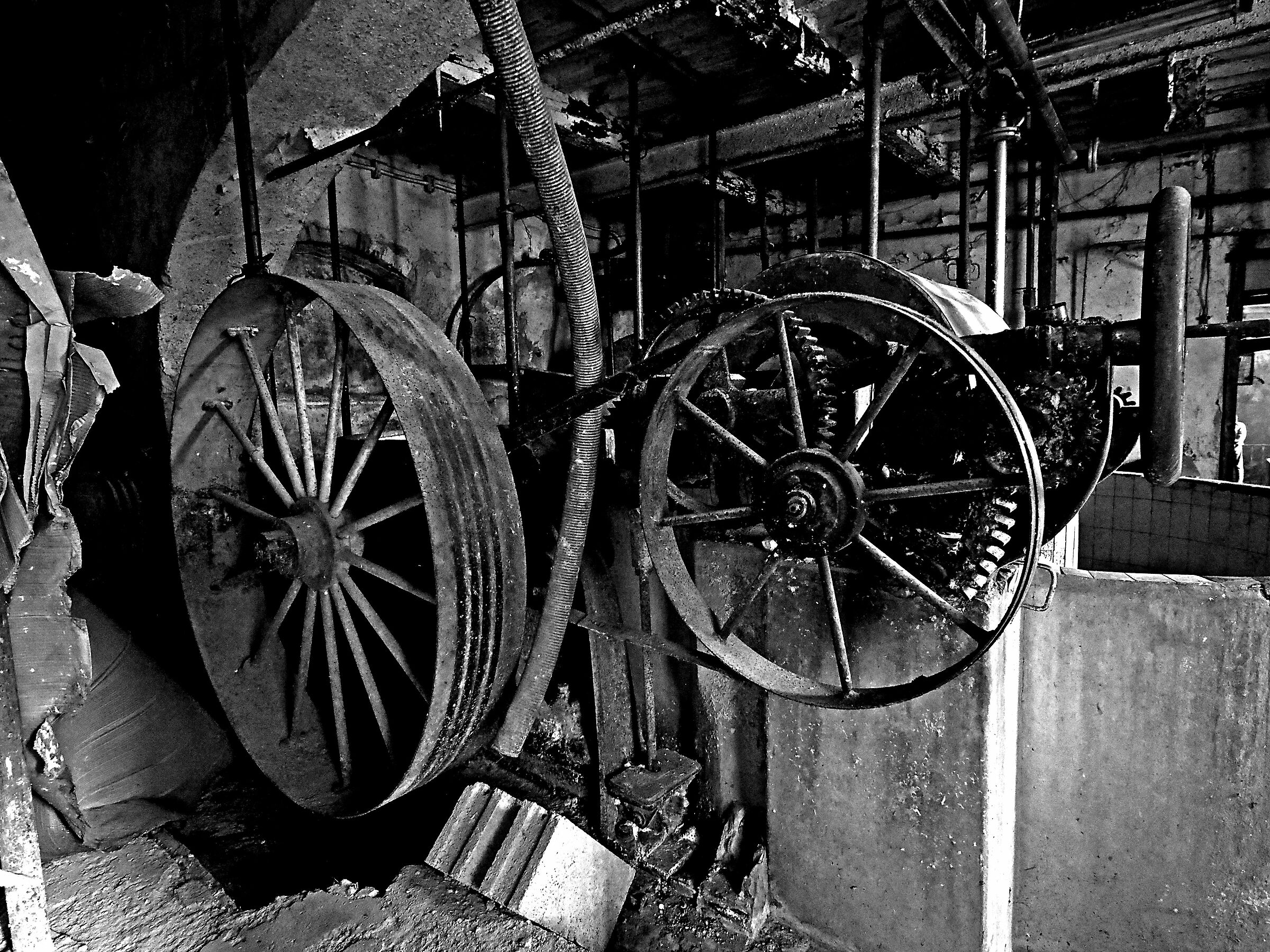 Morte di una cartiera