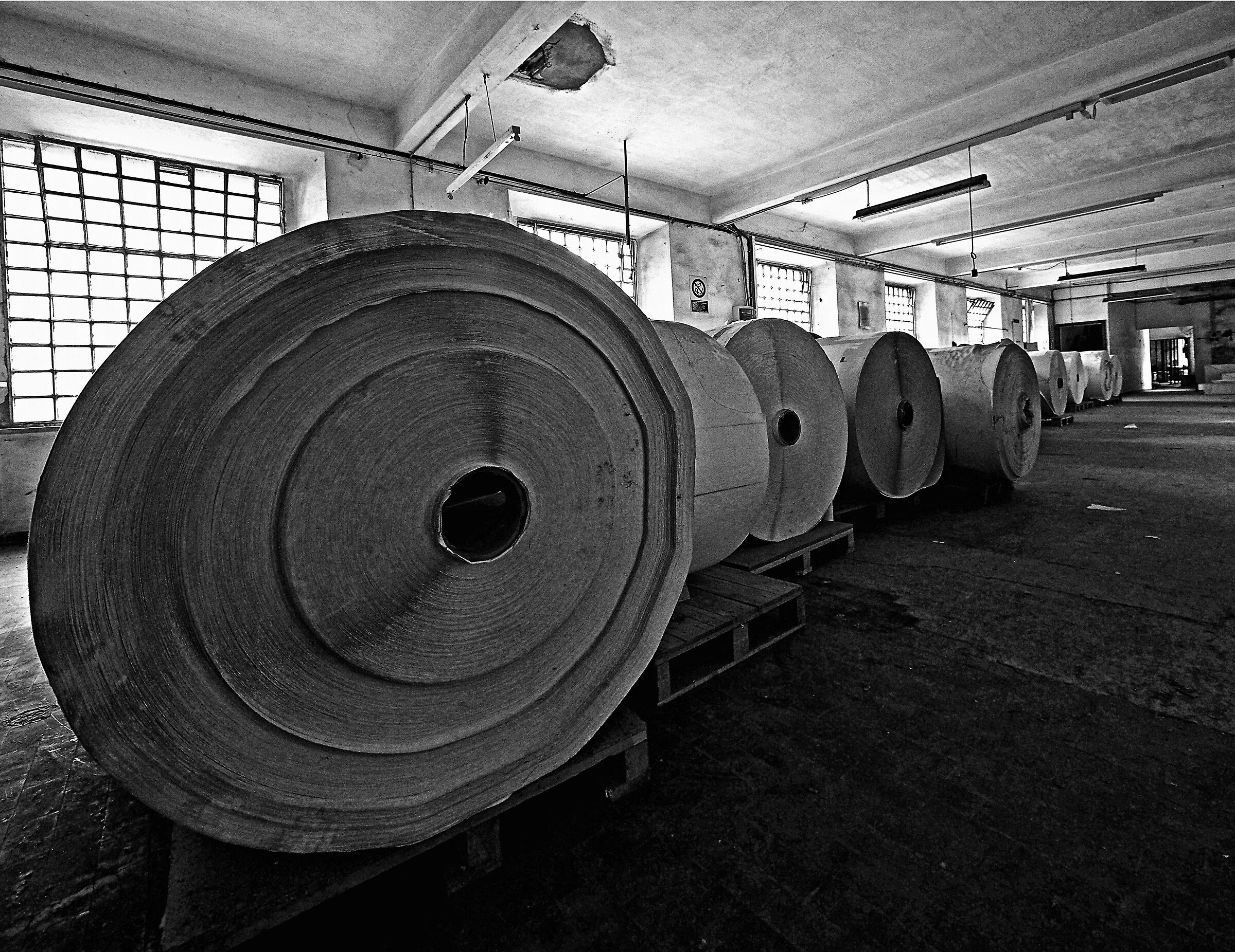 Morte di una cartiera