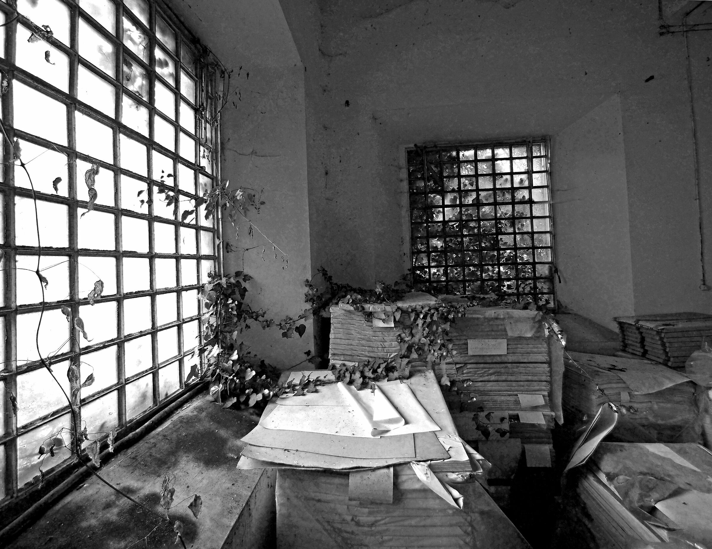 Morte di una cartiera