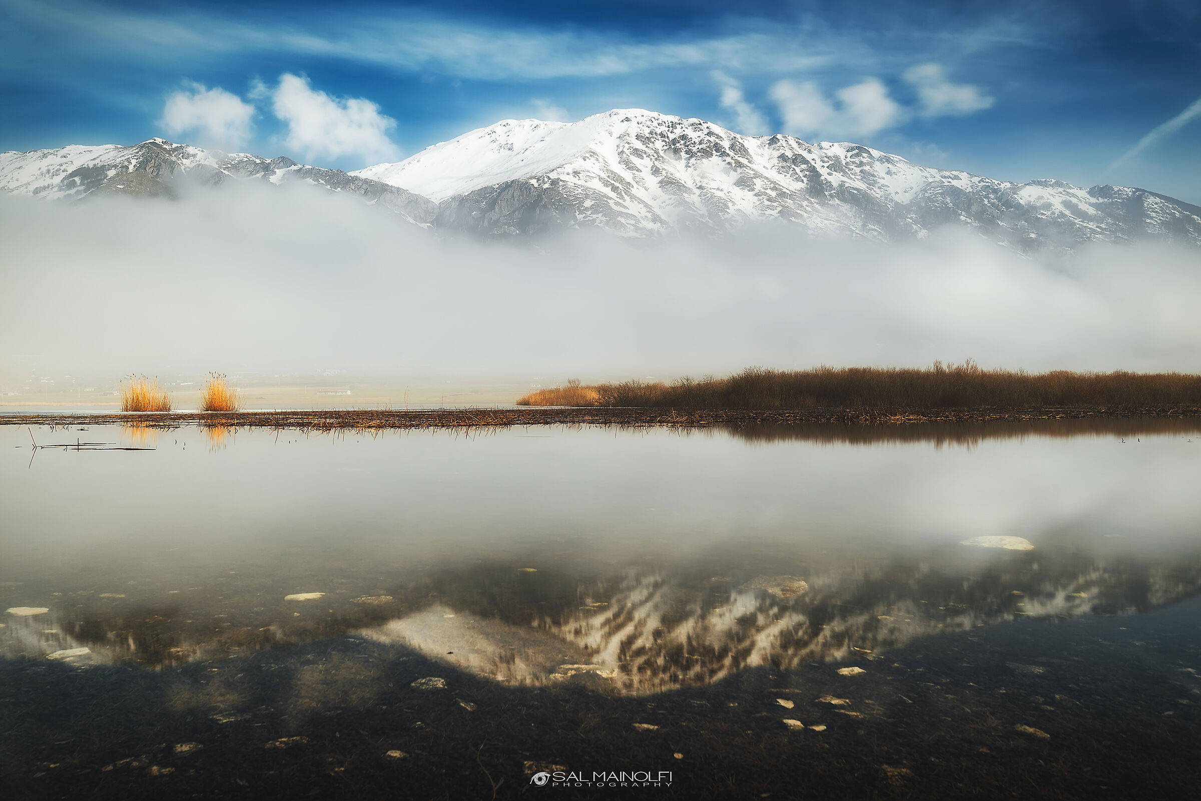 Awakening in the Fog