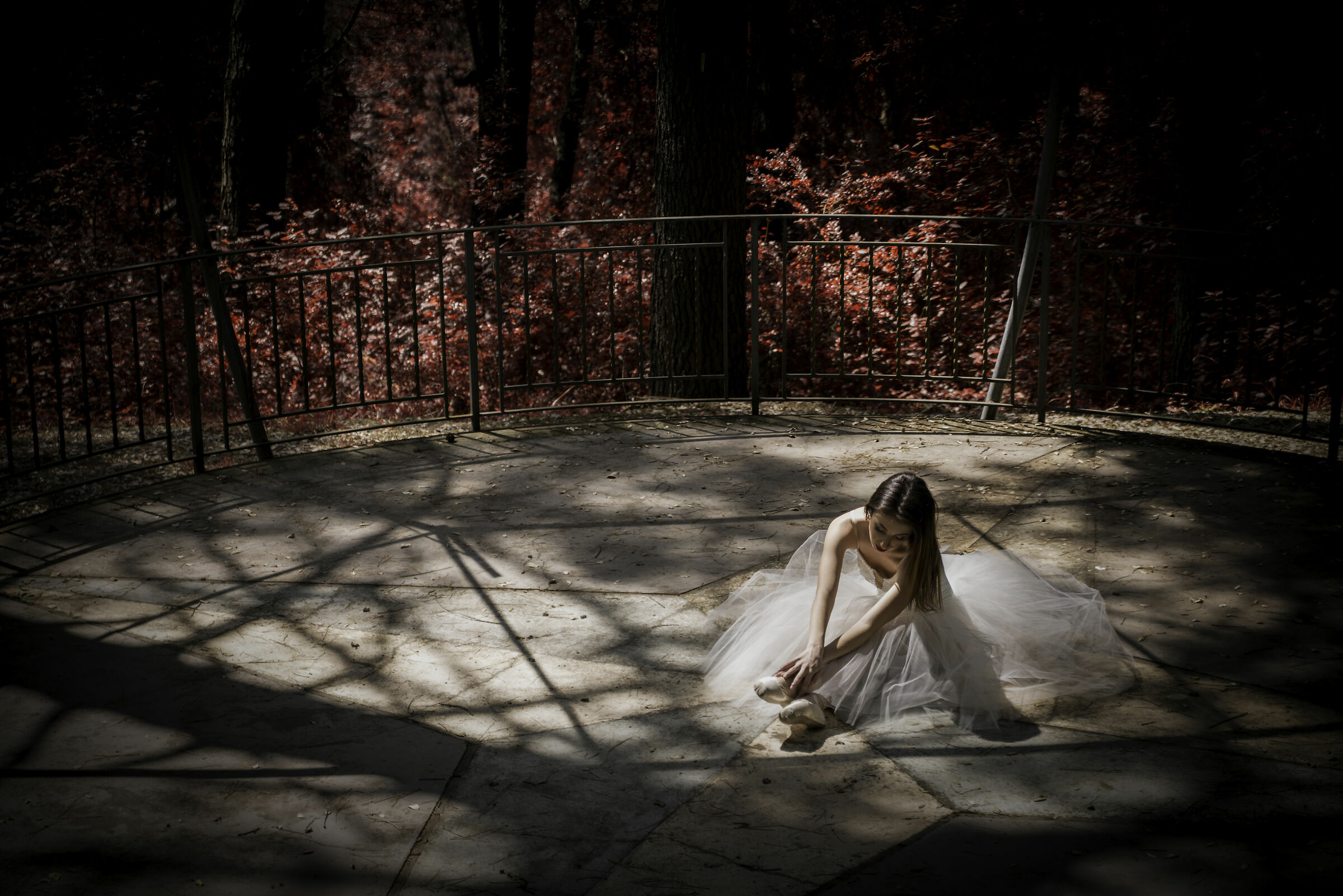 Ballerina in the woods..