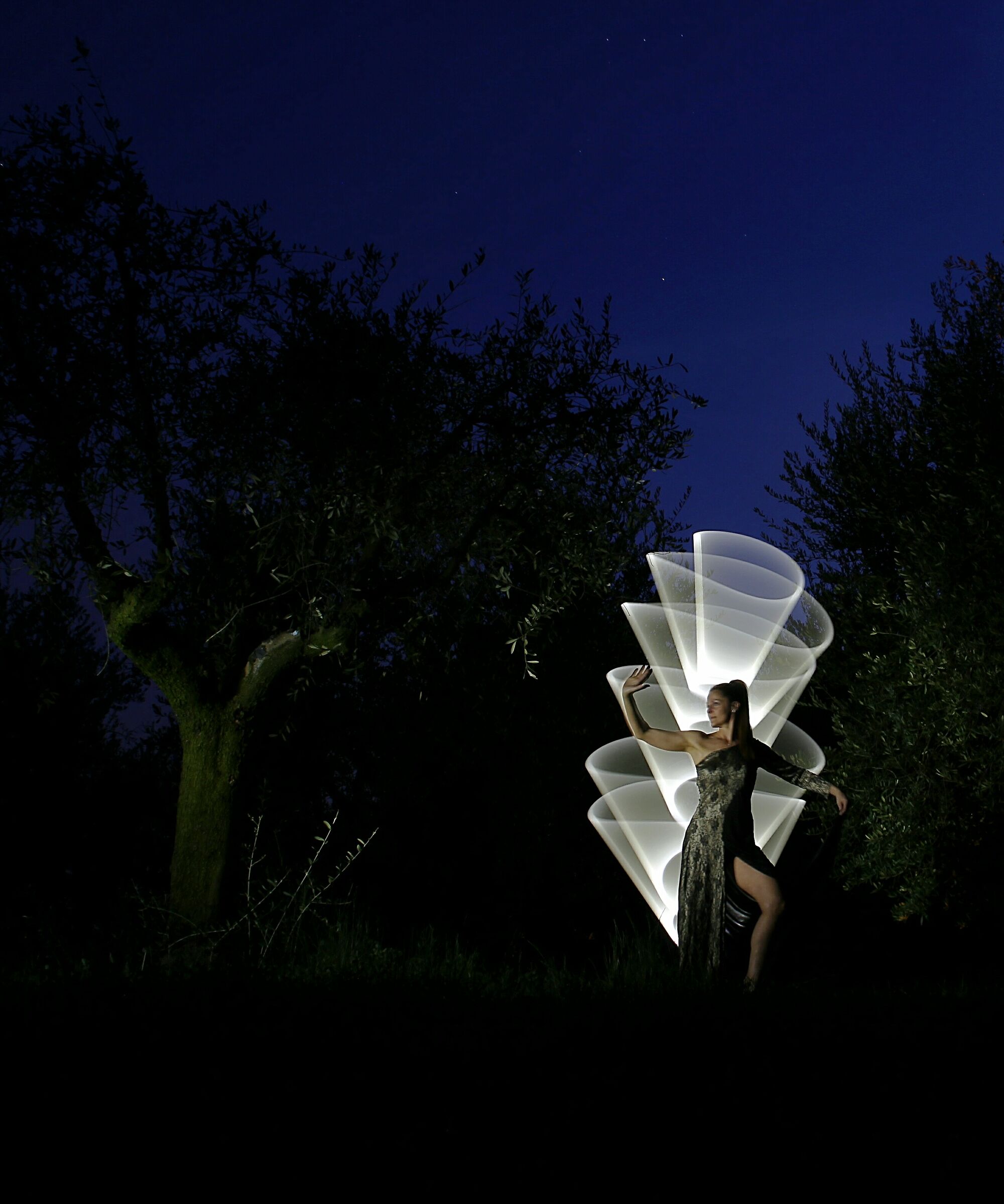 Games of light among the olive trees