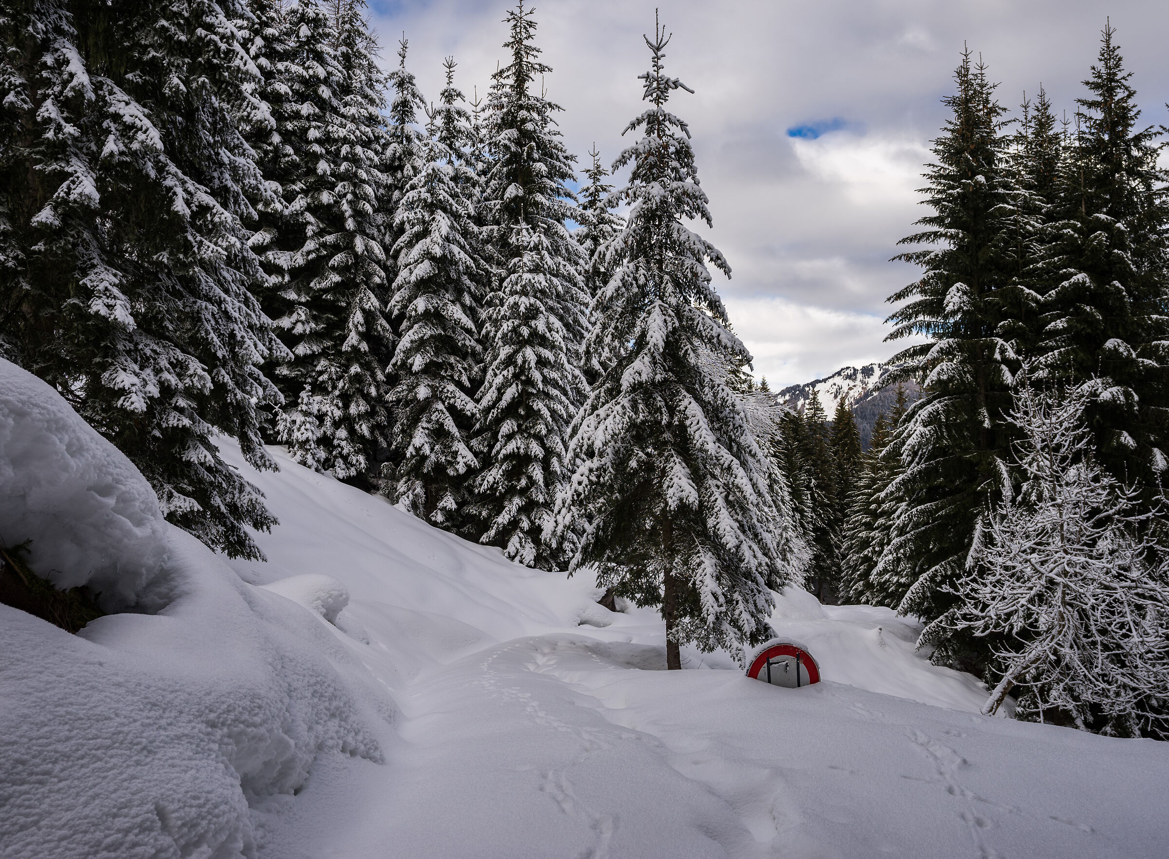 divieto di accesso per troppa neve!