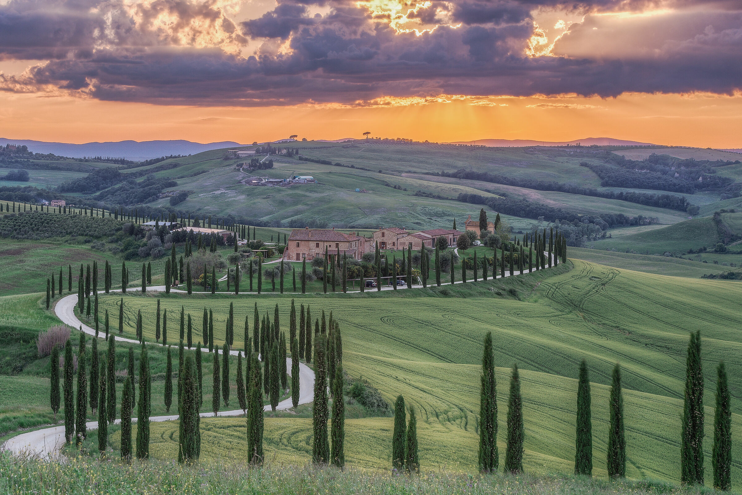 Dolci colline Toscane