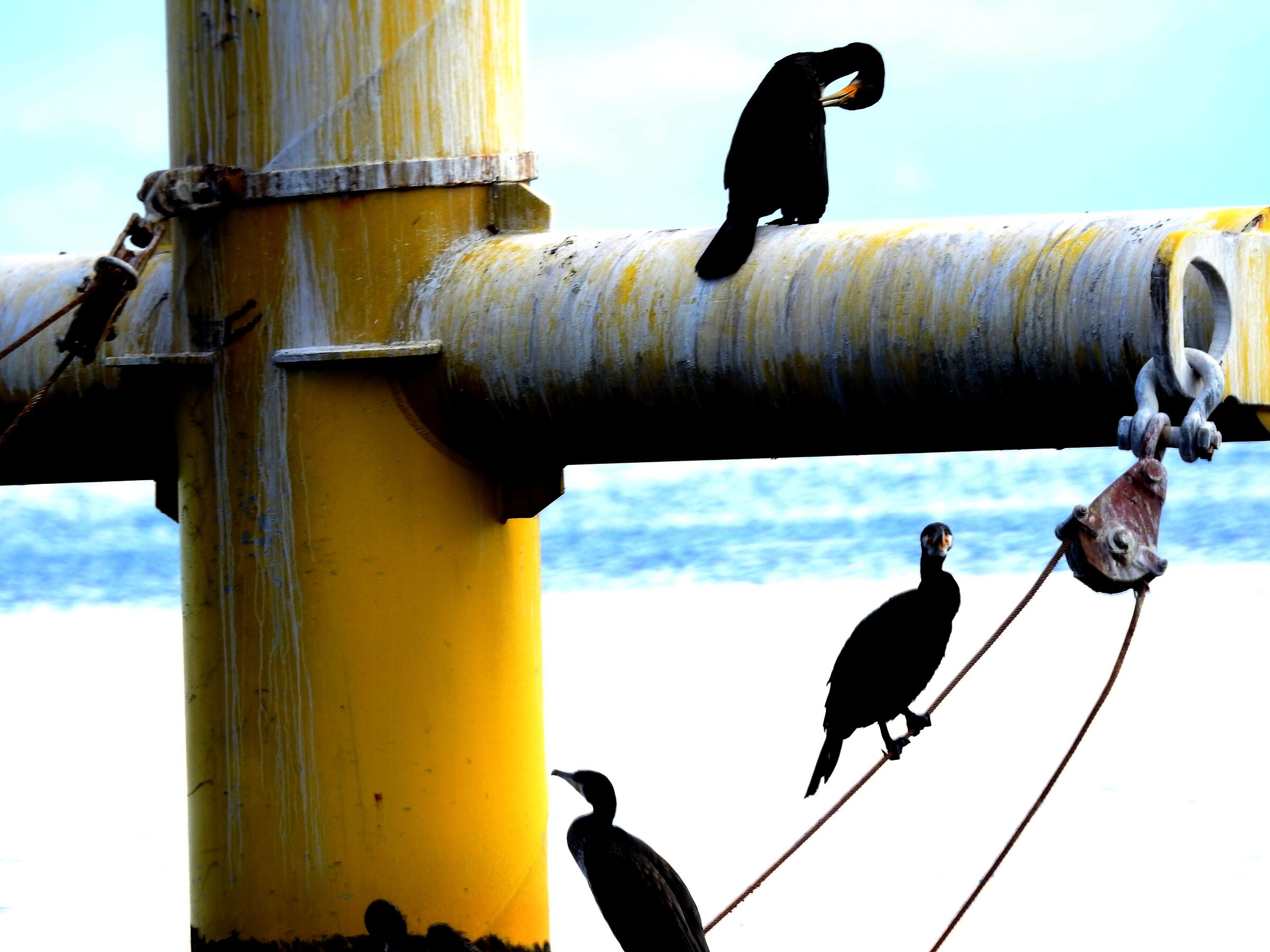 Or&lstrok;owo/Gdynia