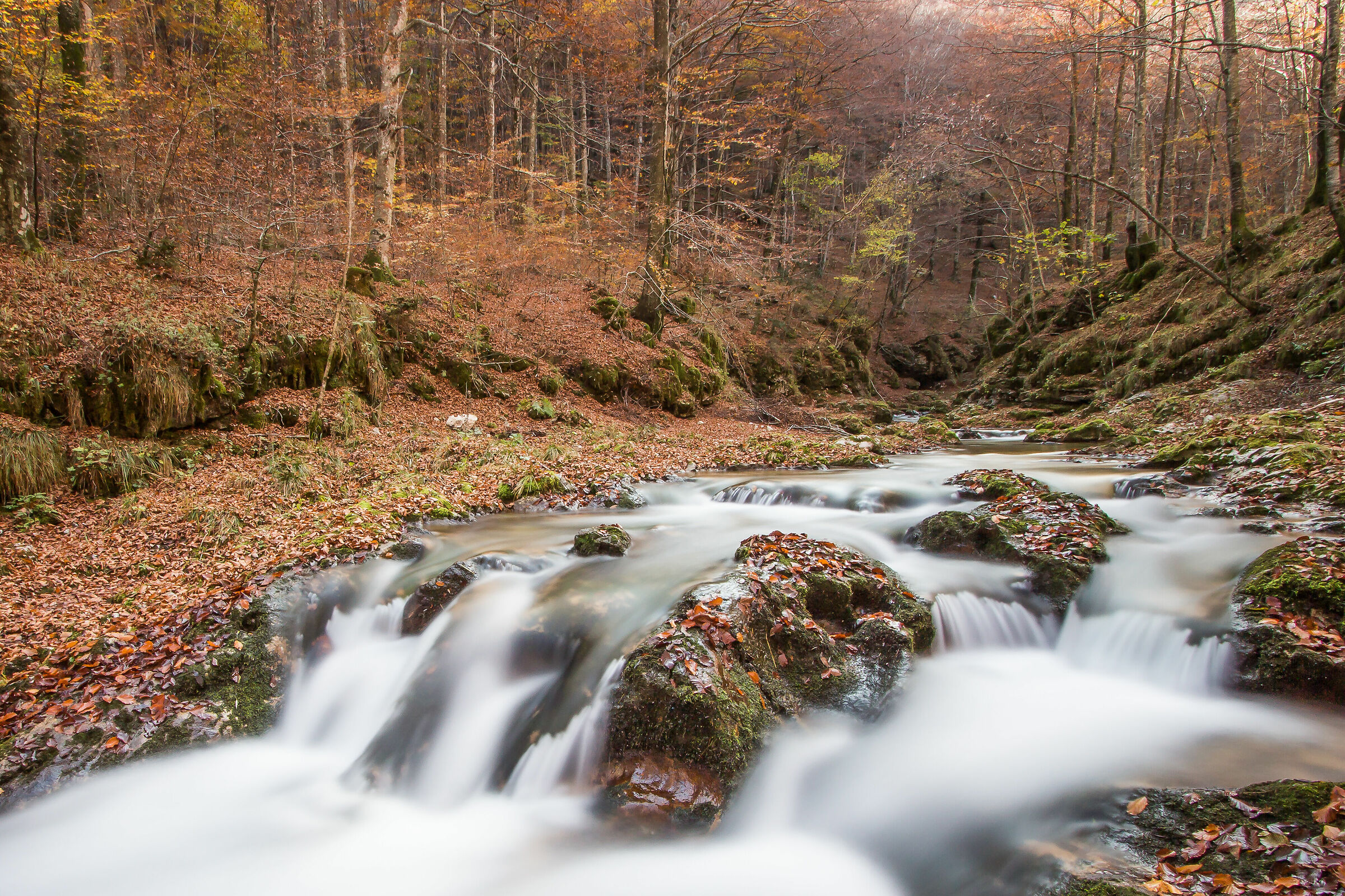 Autumn in Val D'arzino