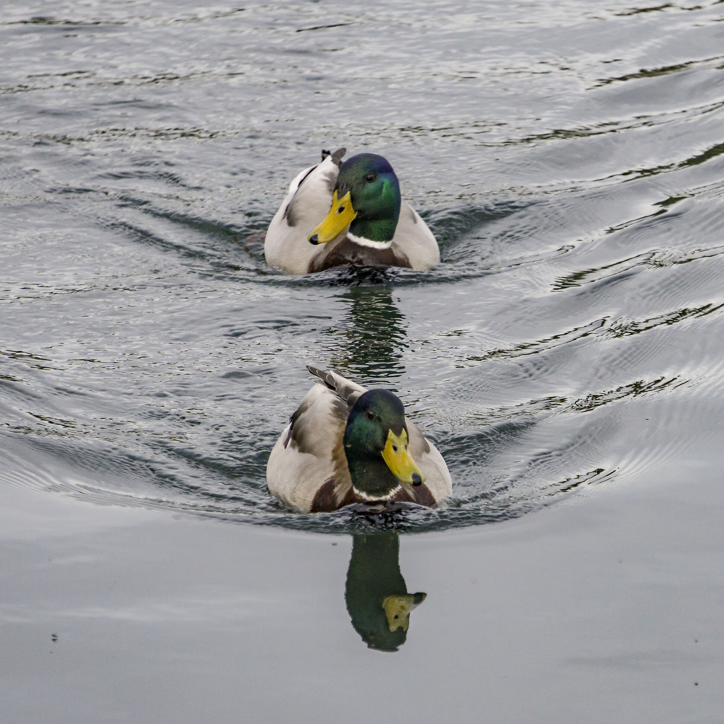 Friday, April 5, 2019, 18:01:44