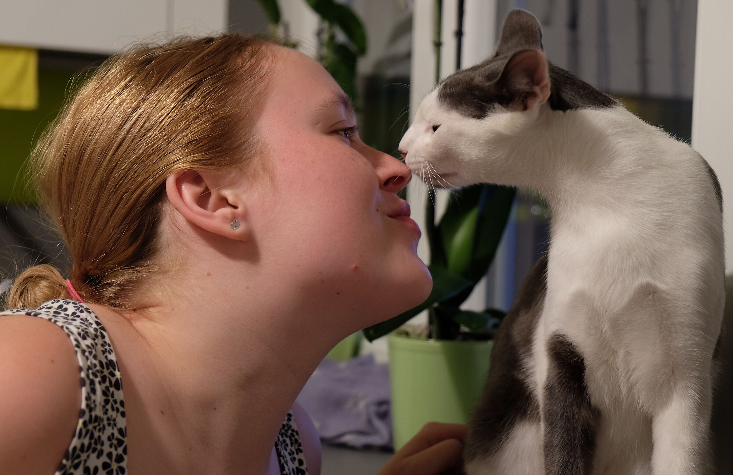 Love at First Sight
